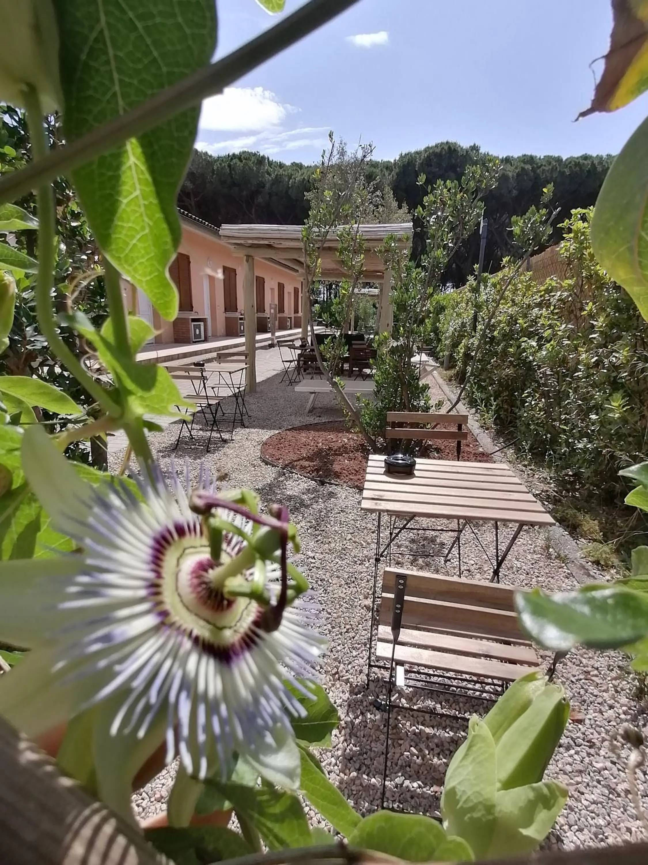 Garden view in Hotel Le Palme