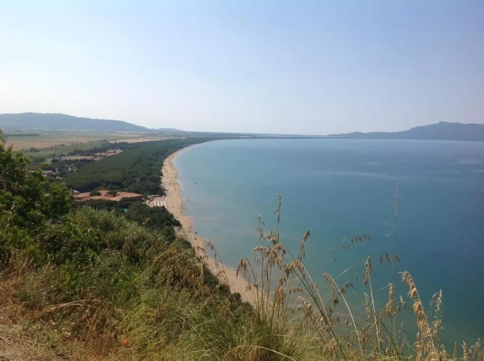 Beach in Hotel Le Palme