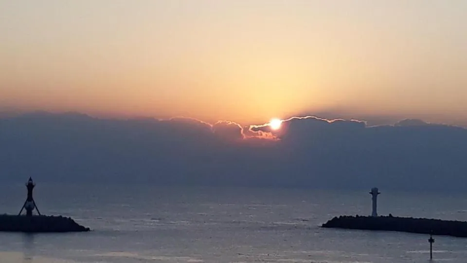 Beach in Brown Dot Gijang Yeonhwari