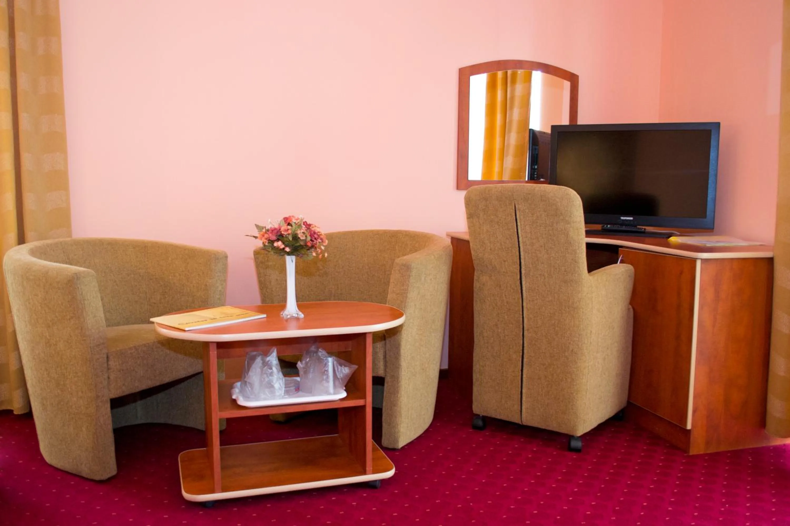 TV and multimedia in Hotel Xemar