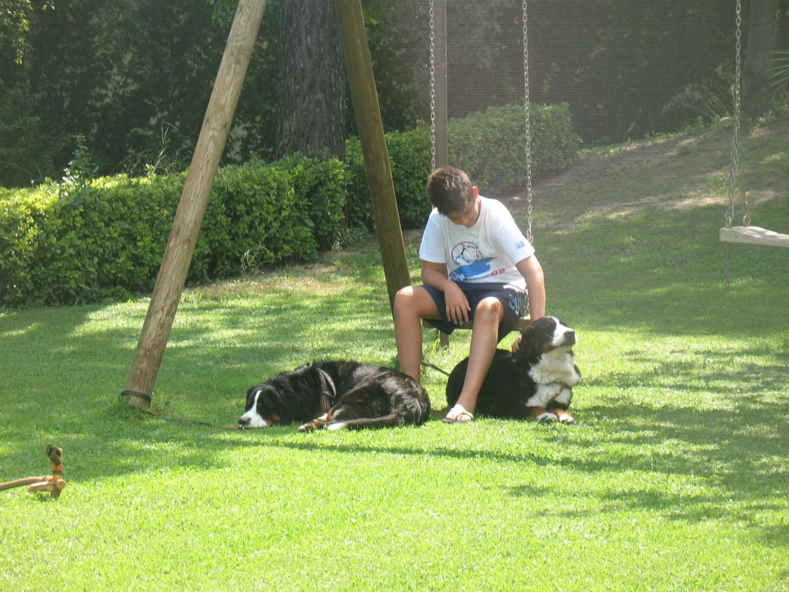 Garden in B&B Villa Maria