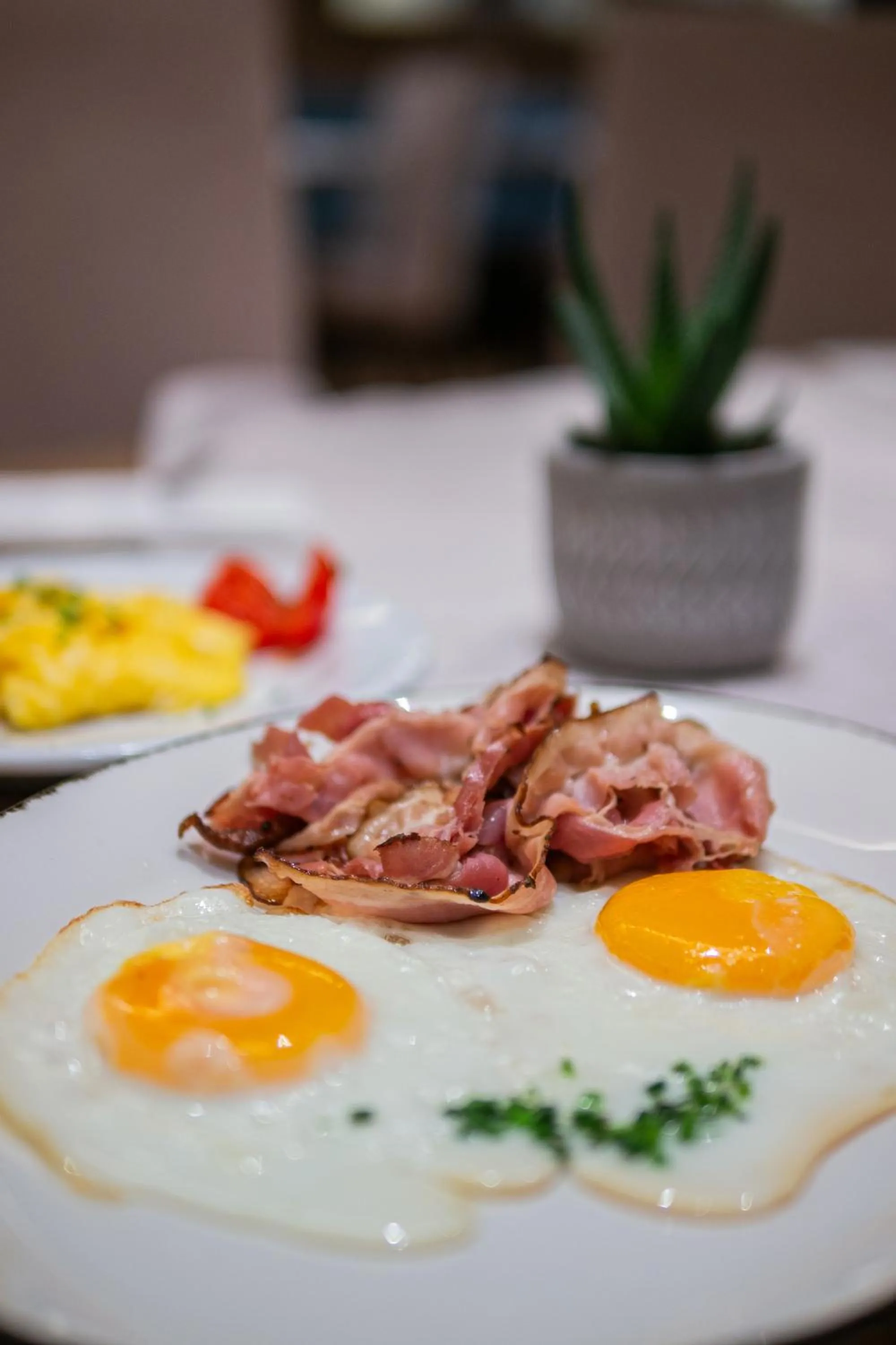 Breakfast in Hotel Elefant Family Business