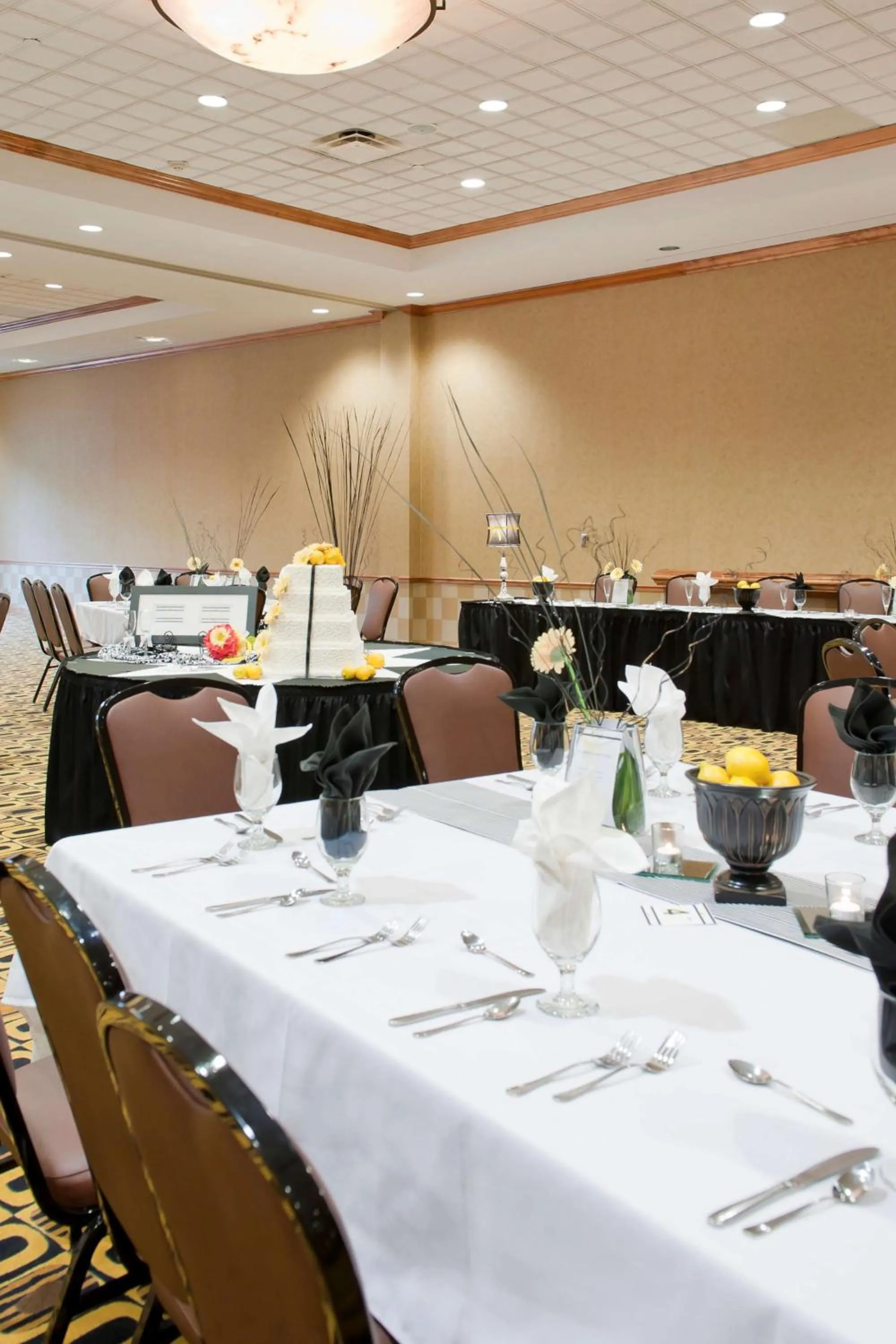 Meeting/conference room in Hampton Inn & Suites Columbia at the University of Missouri