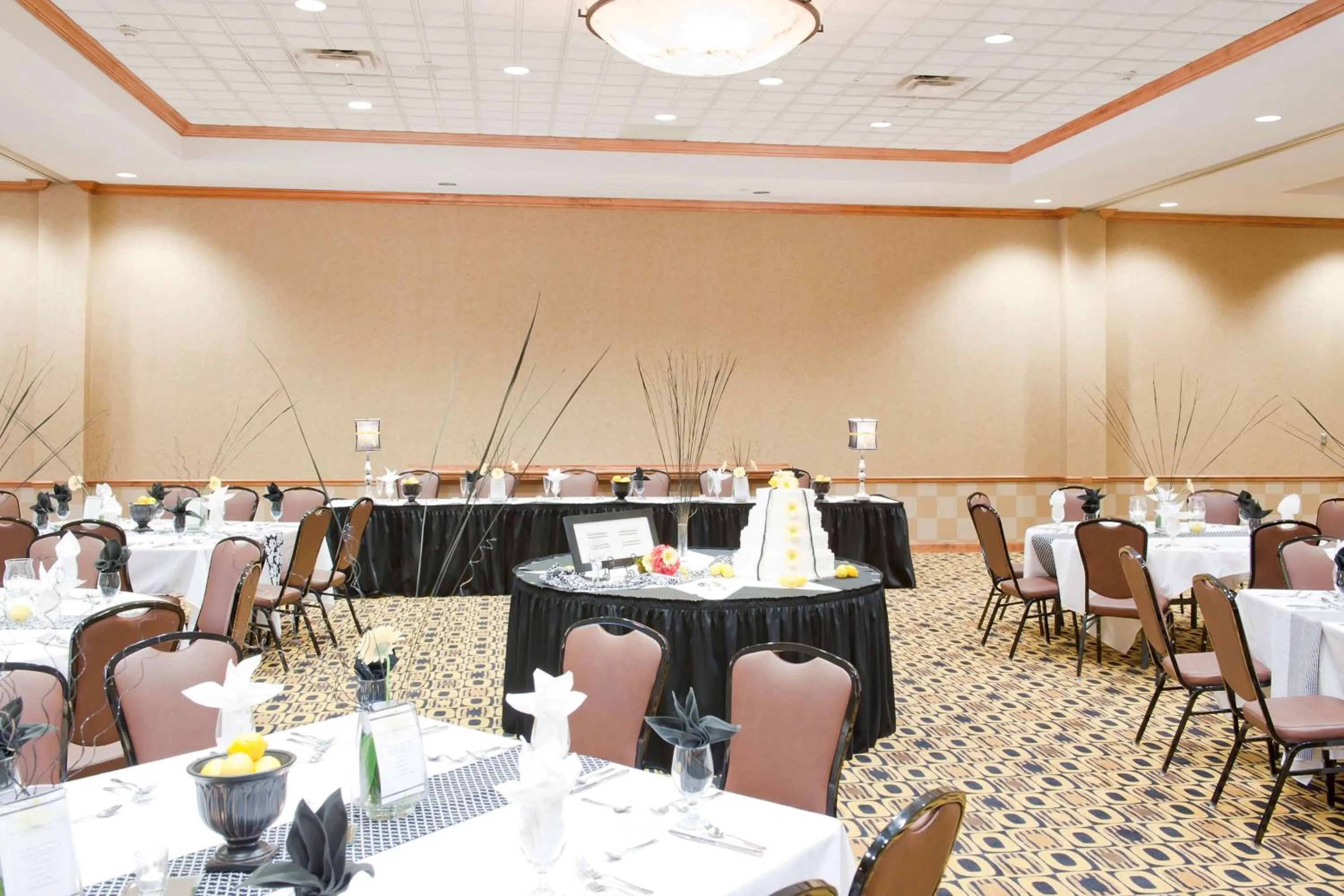 Meeting/conference room in Hampton Inn & Suites Columbia at the University of Missouri