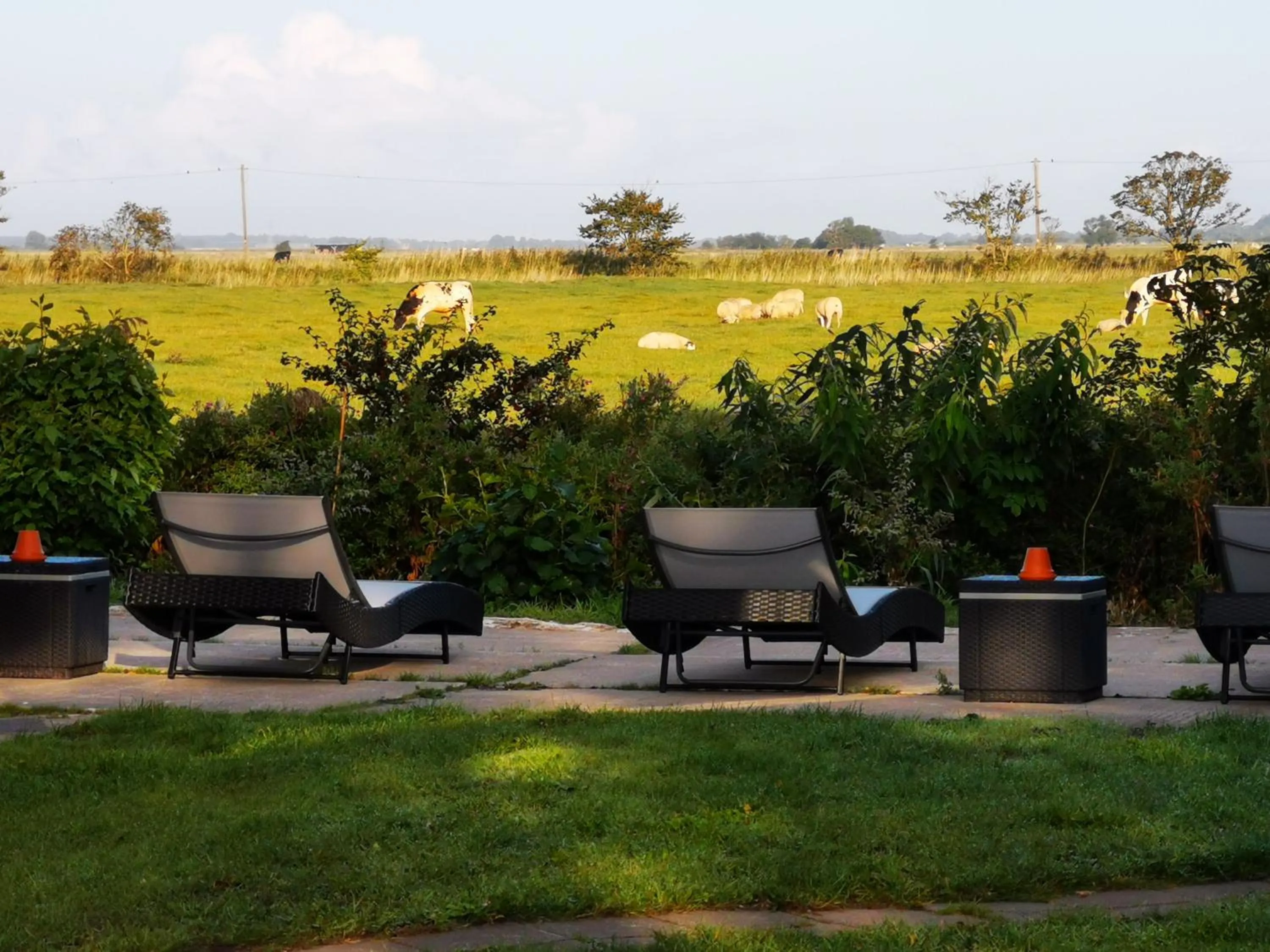 Property building in Seerose Boutique-Pension