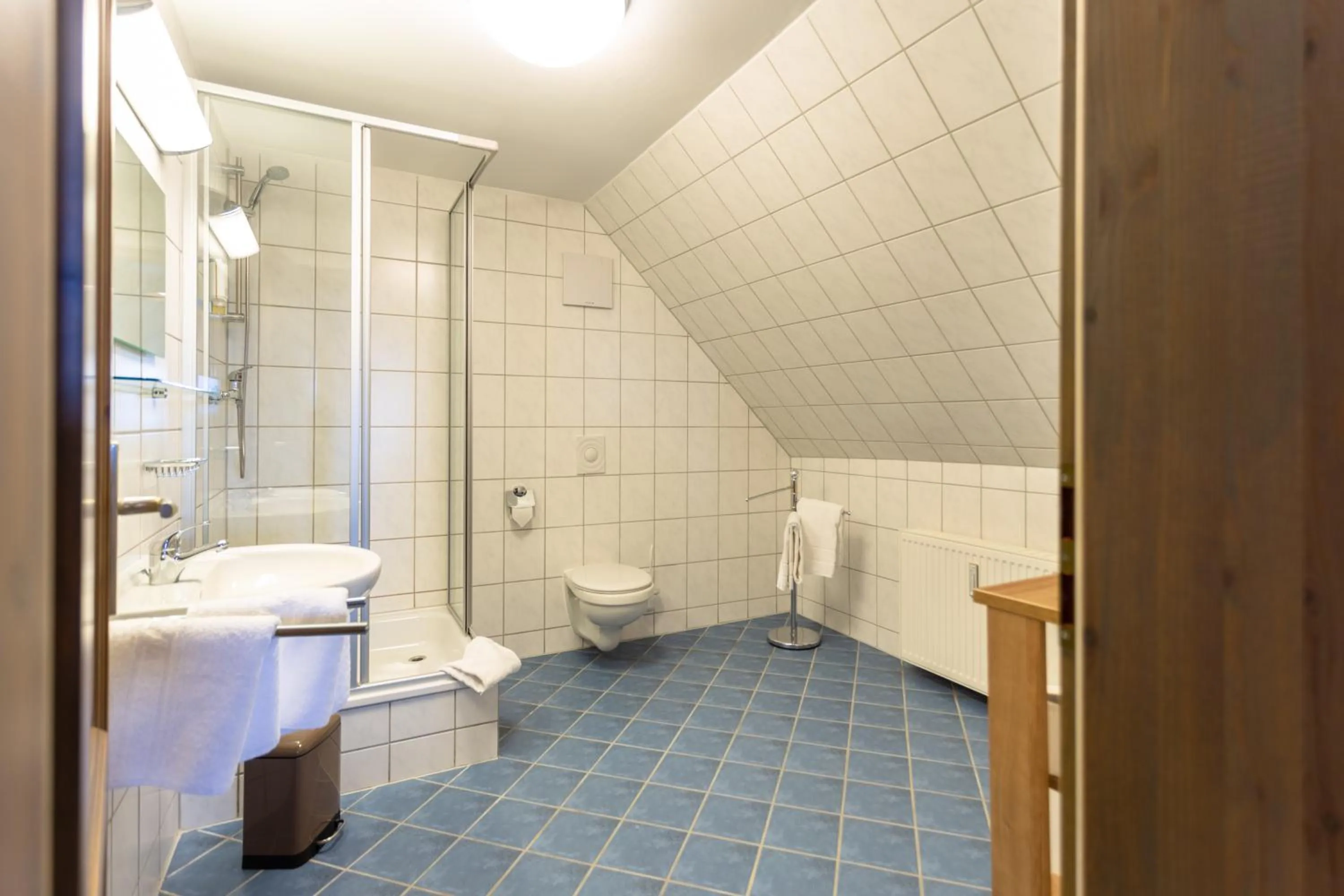 Toilet in Gasthof Obere Mühle