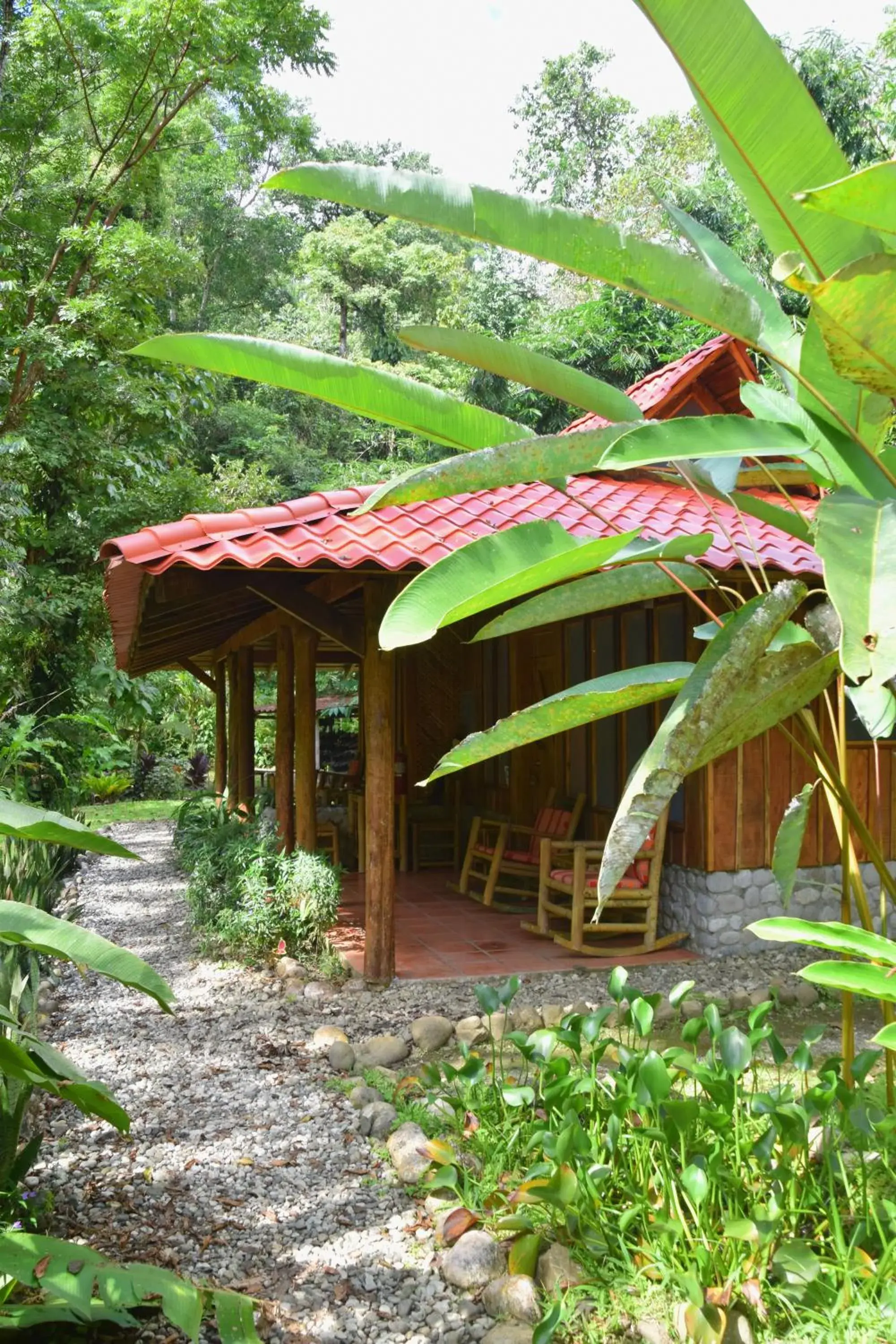 Standard Double Room - single occupancy in Esquinas Rainforest Lodge Standard Double Room - single occupancy in Esquinas Rainforest Lodge
