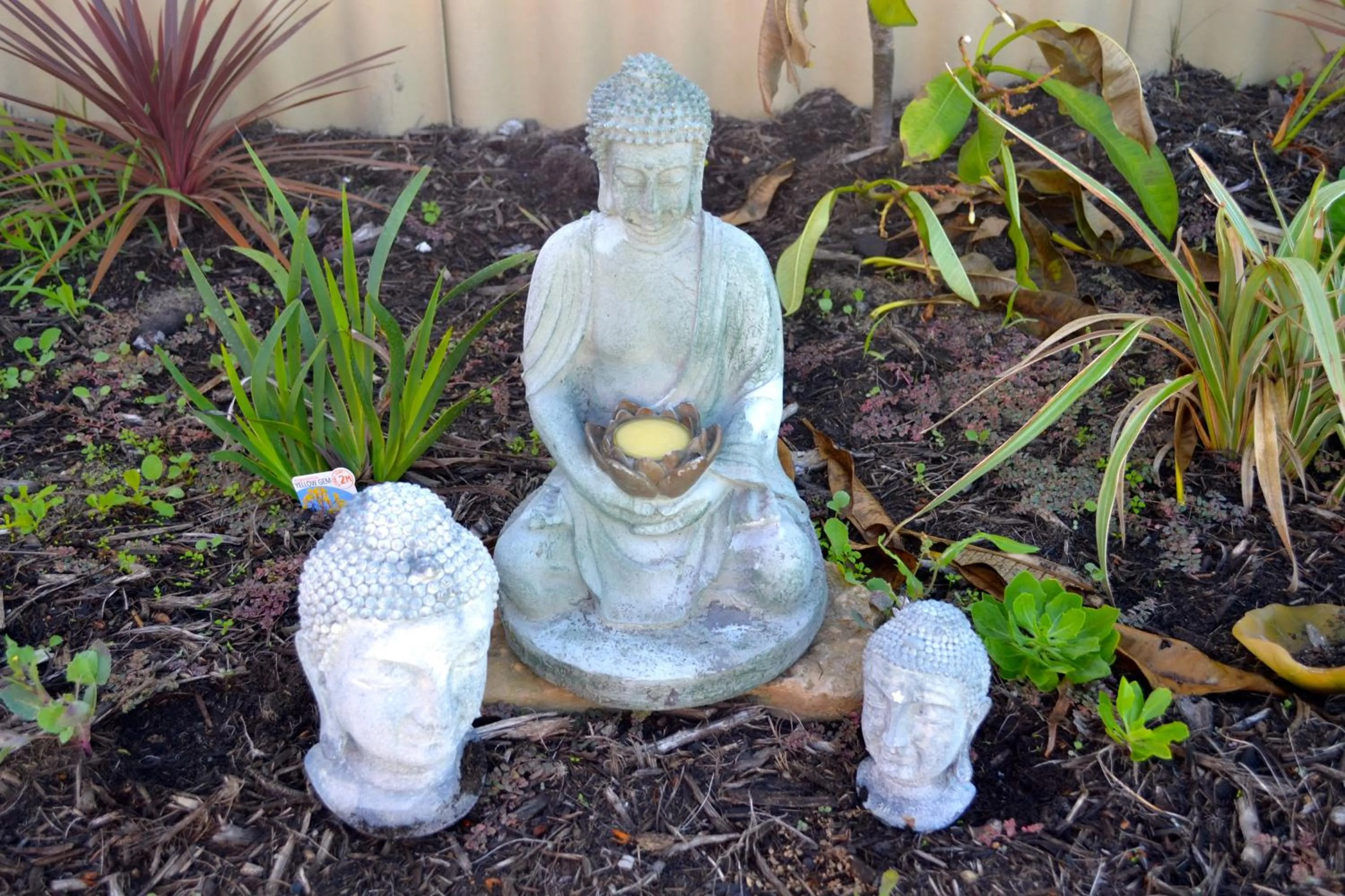 Garden view in Palms Bed & Breakfast