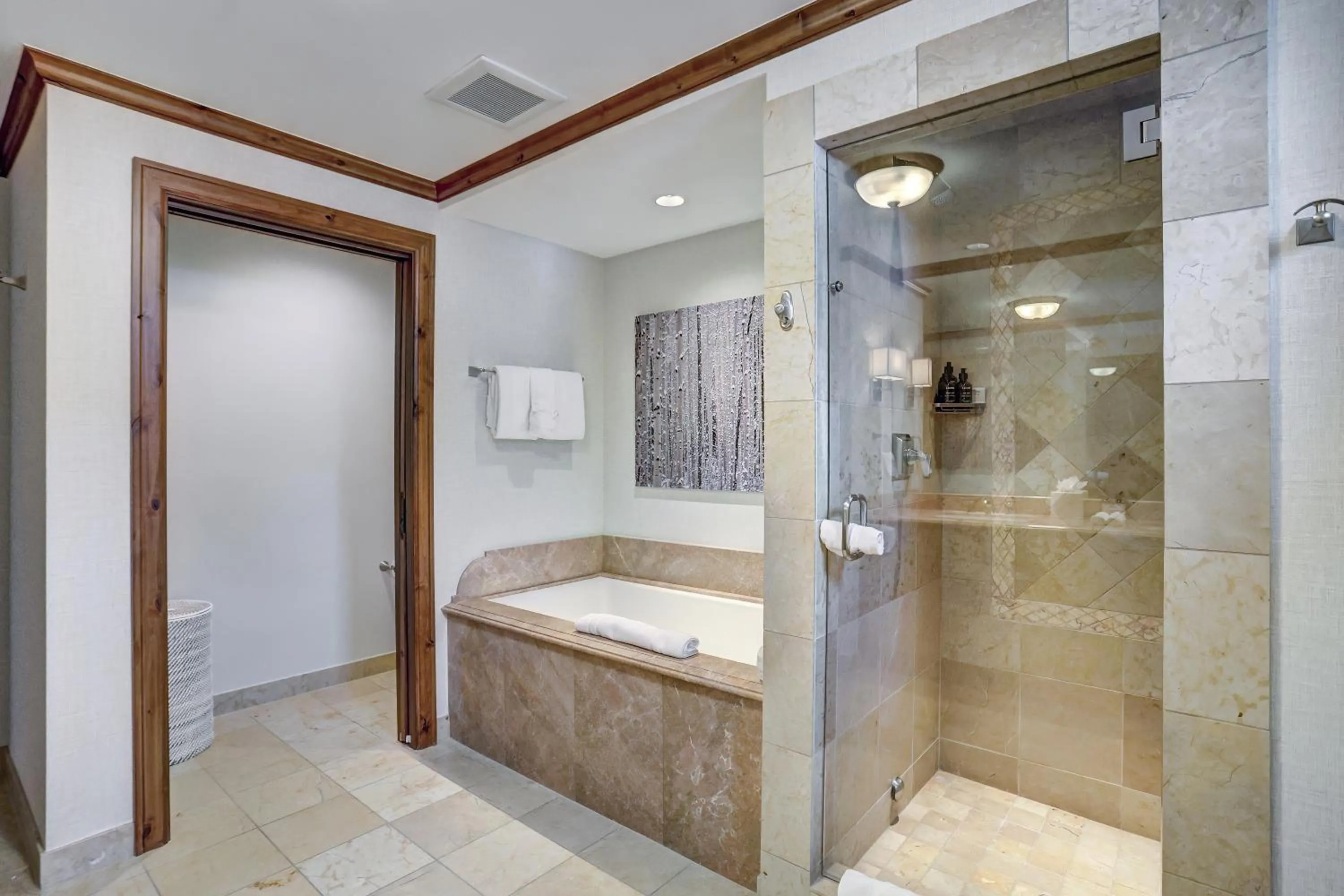 The Vail Collection at the Ritz Carlton Residences Vail