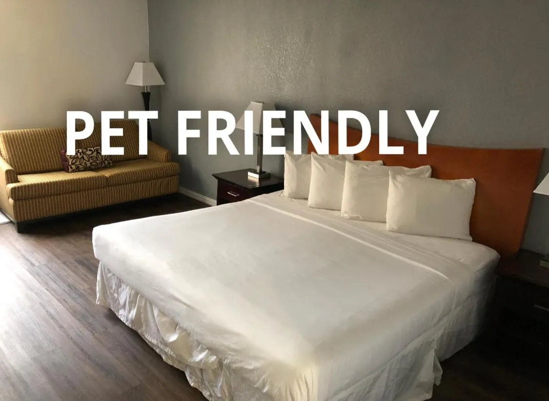 Single Room in The Grand Hotel Spindletop