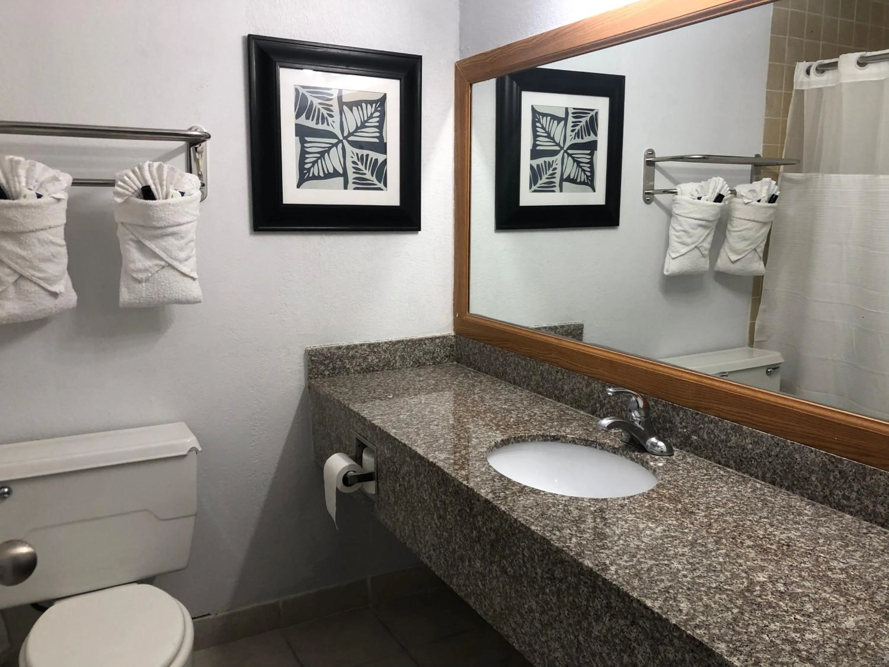 Toilet in The Grand Hotel Spindletop