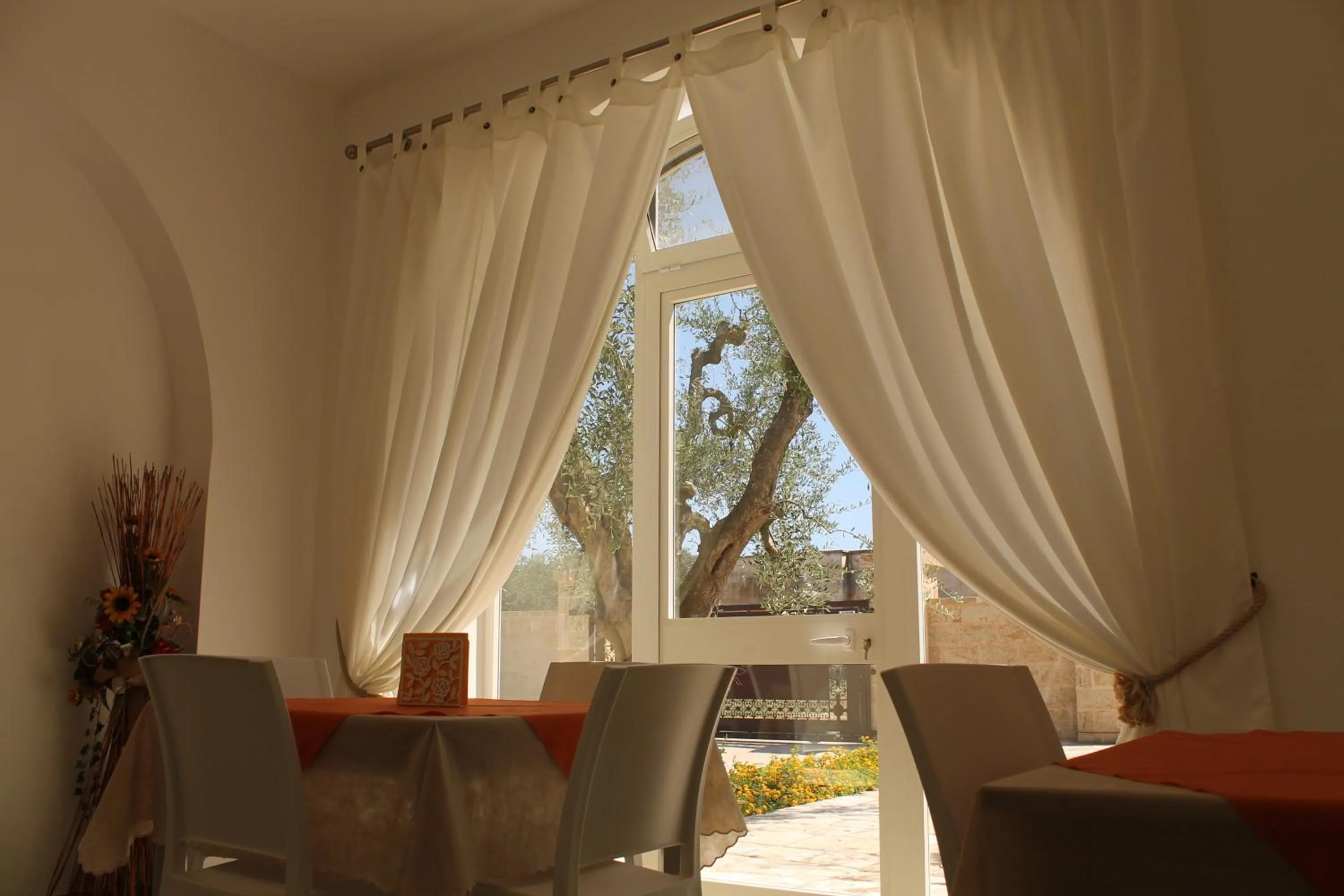 Garden view in Paloma B&B