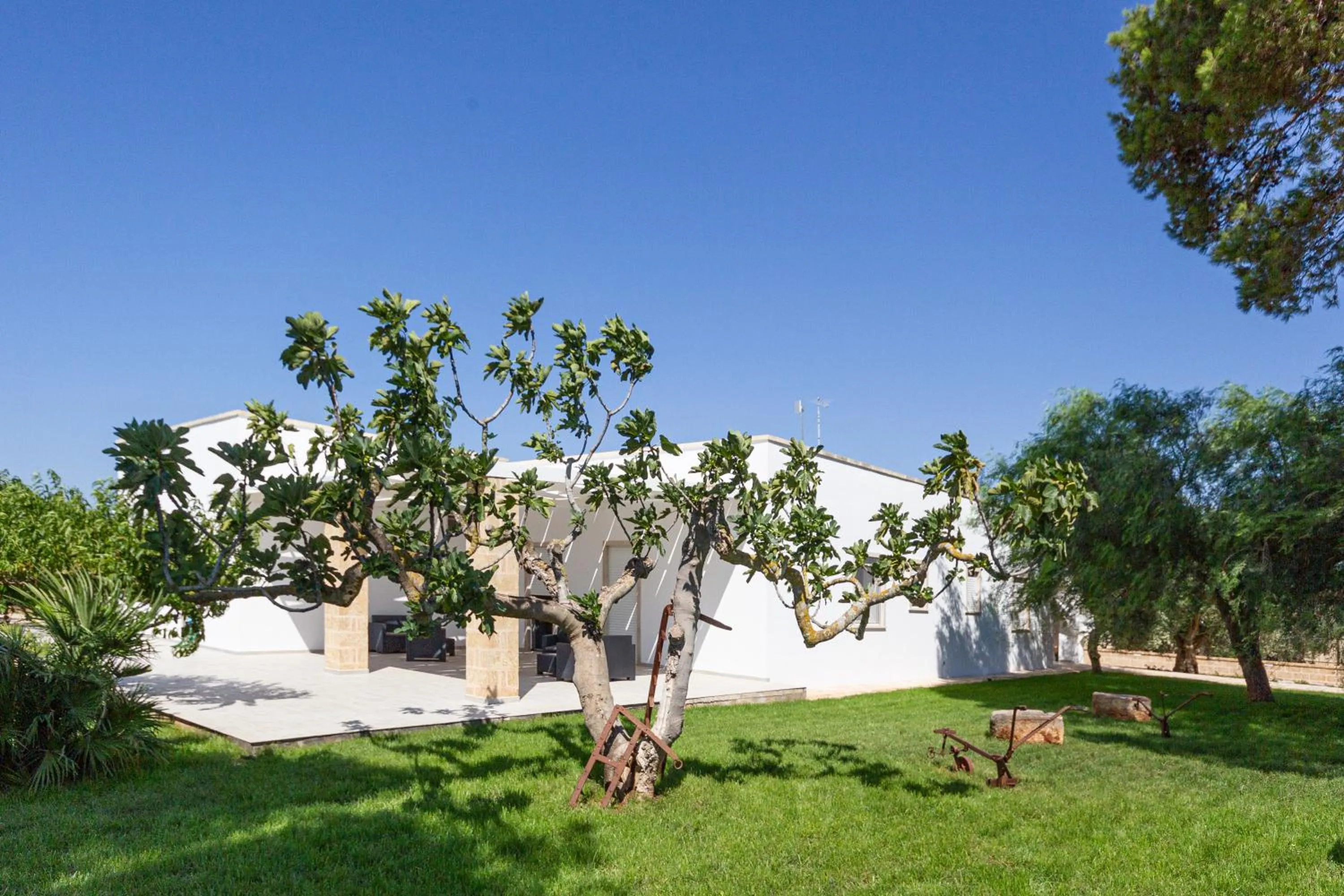 Garden in Paloma B&B