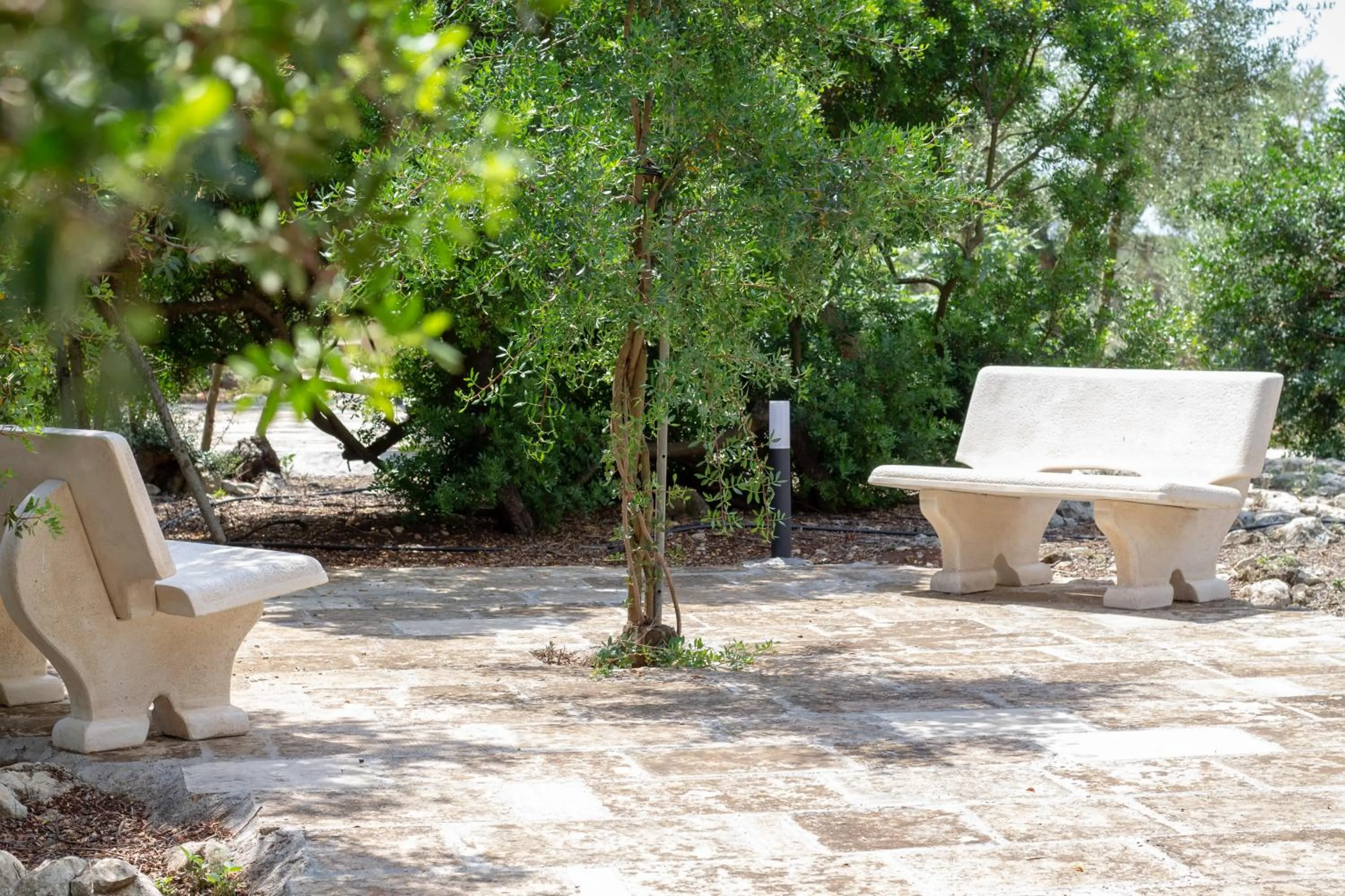 Garden in Paloma B&B