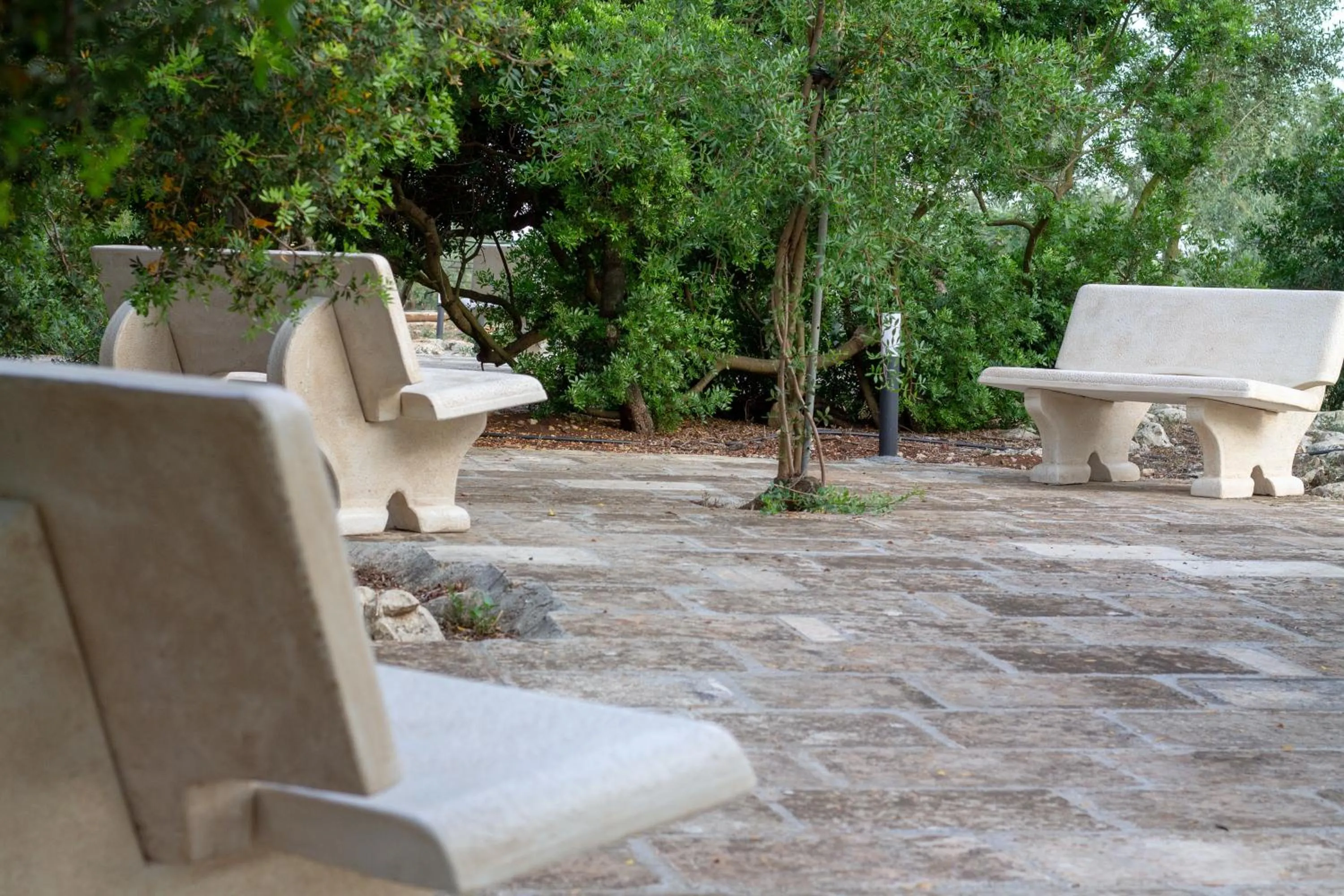 Garden in Paloma B&B