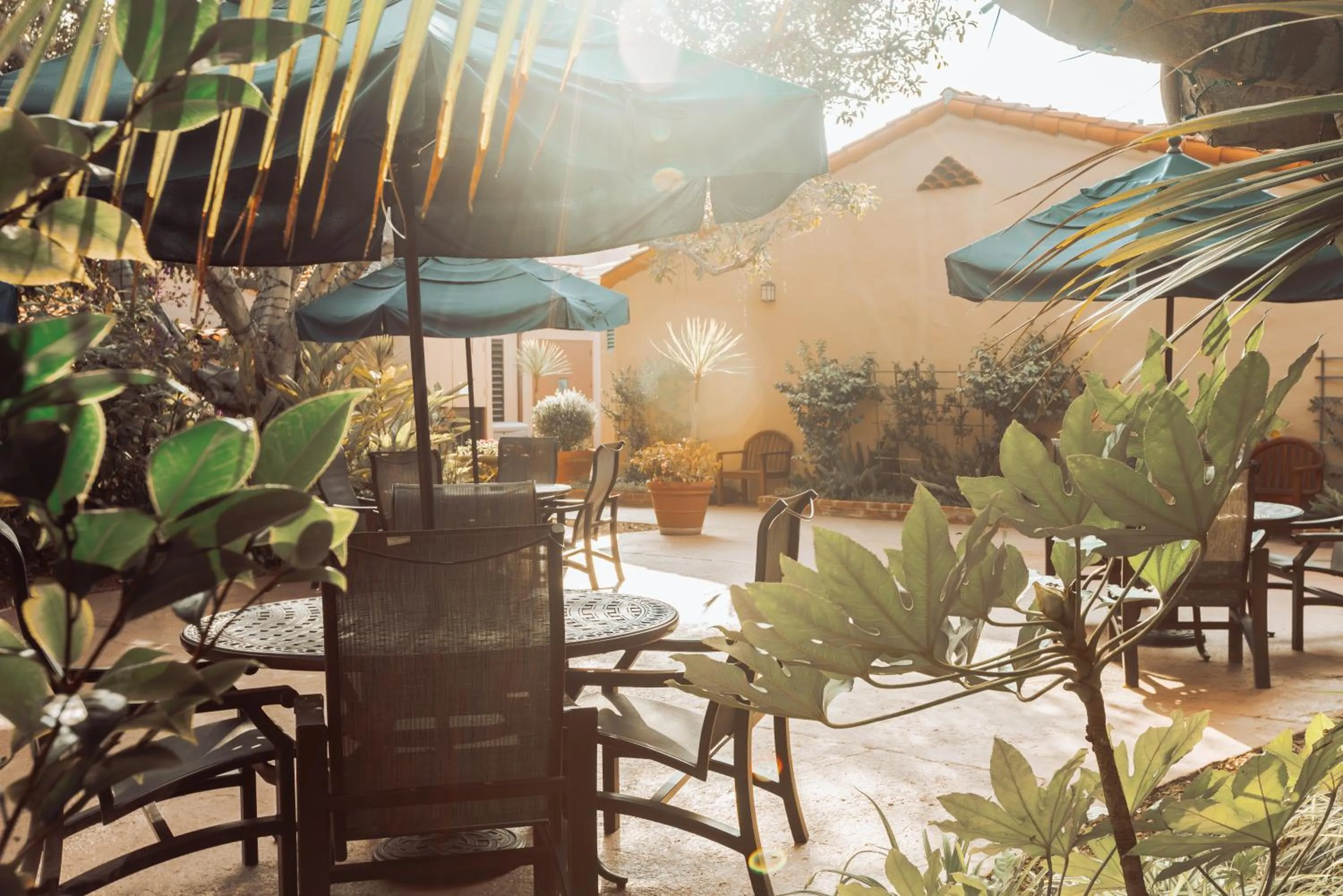 Garden in La Jolla Beach & Tennis Club