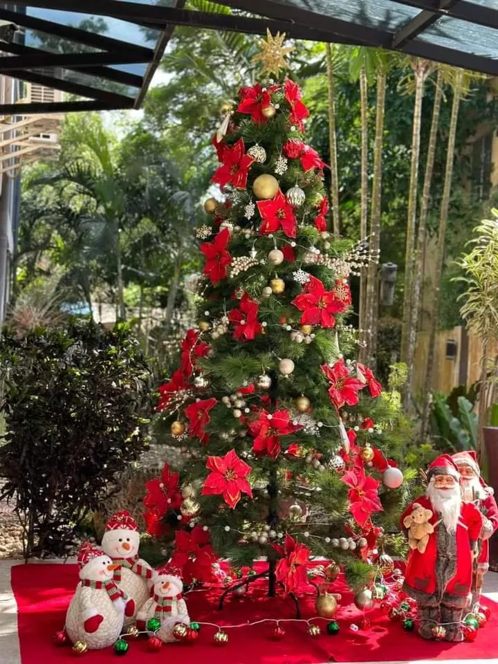 Day in Alona Northland Resort