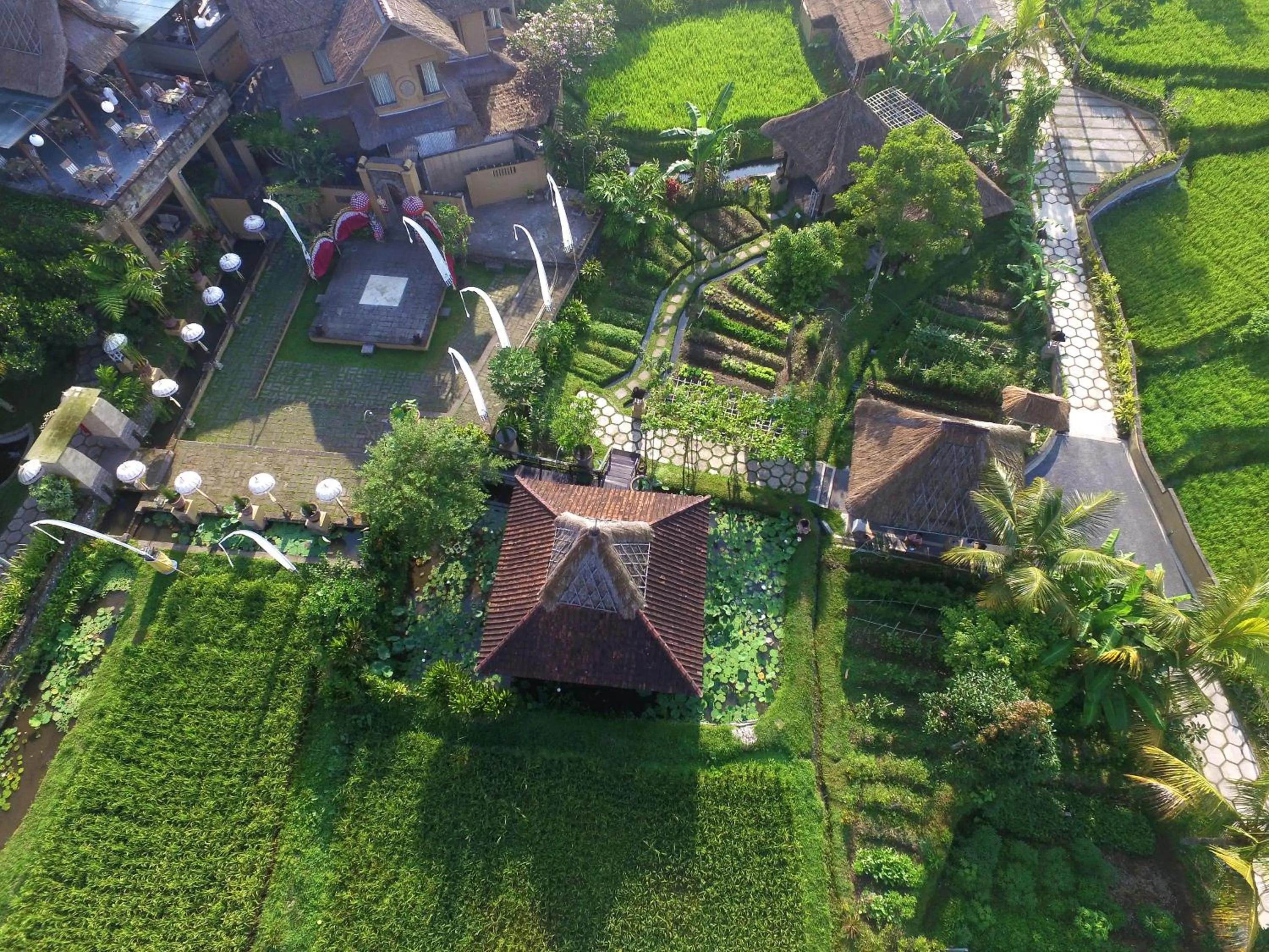 Bird's eye view in Wapa di Ume Ubud