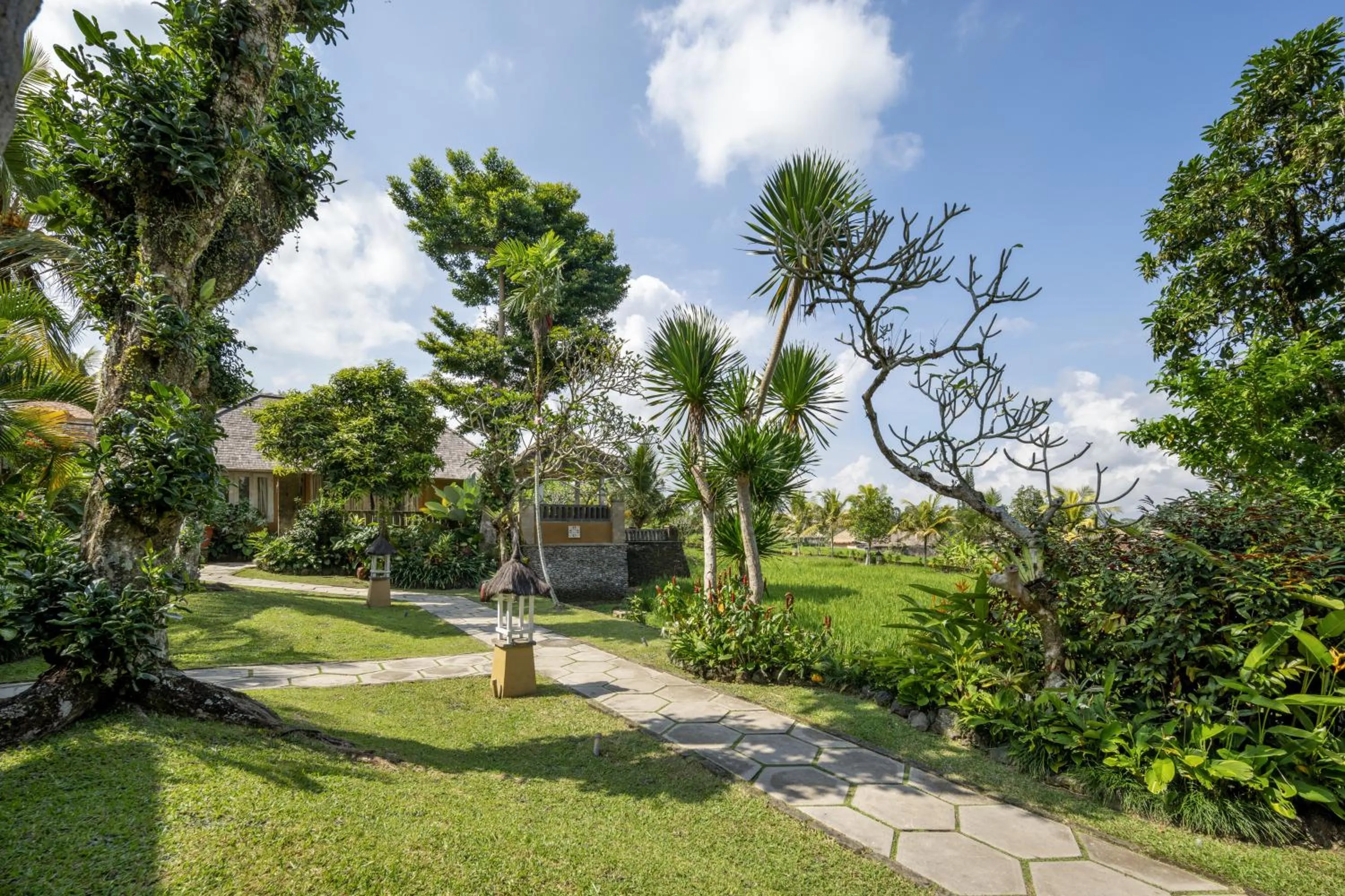 Natural landscape in Wapa di Ume Ubud
