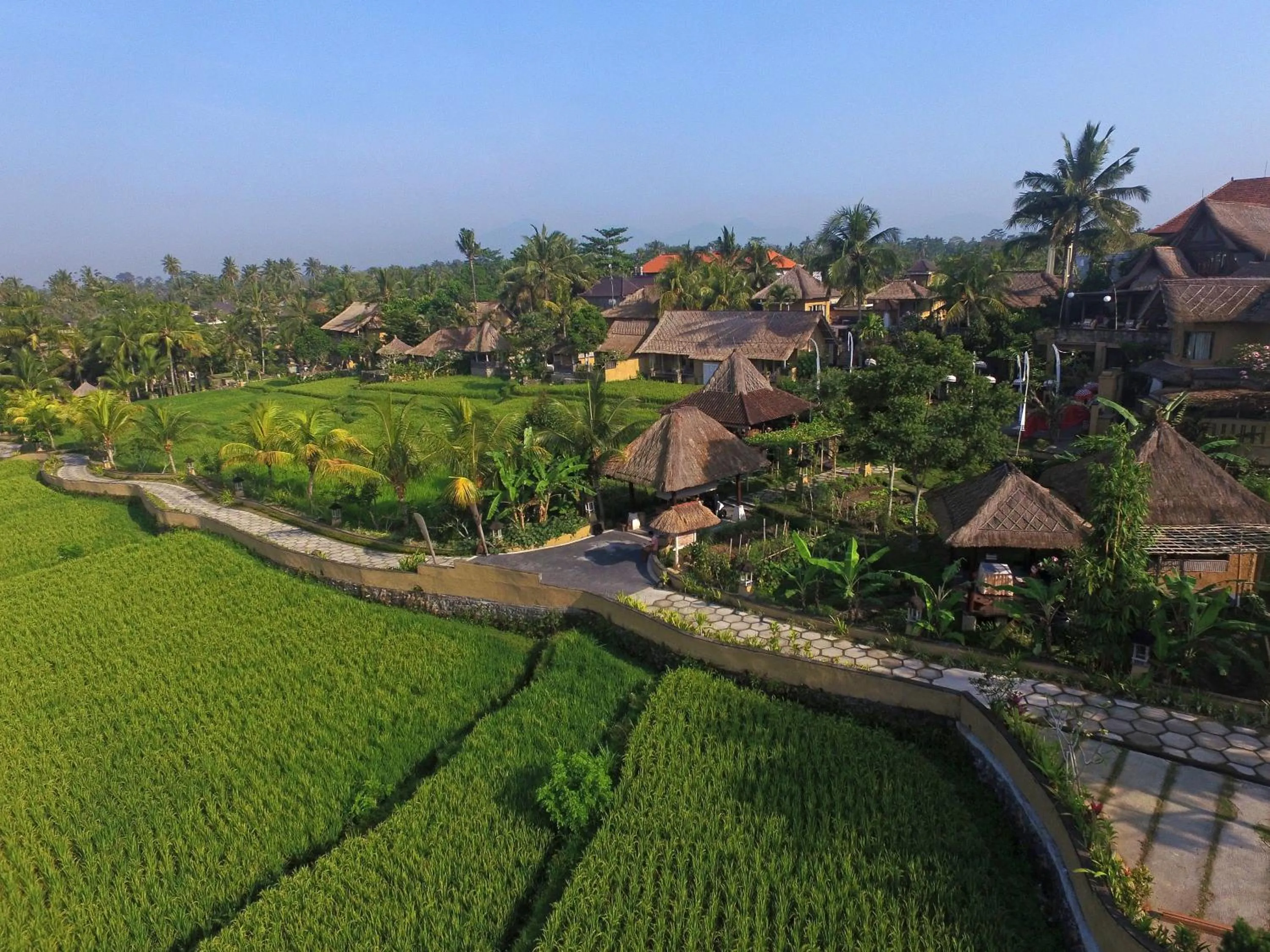 Natural landscape in Wapa di Ume Ubud