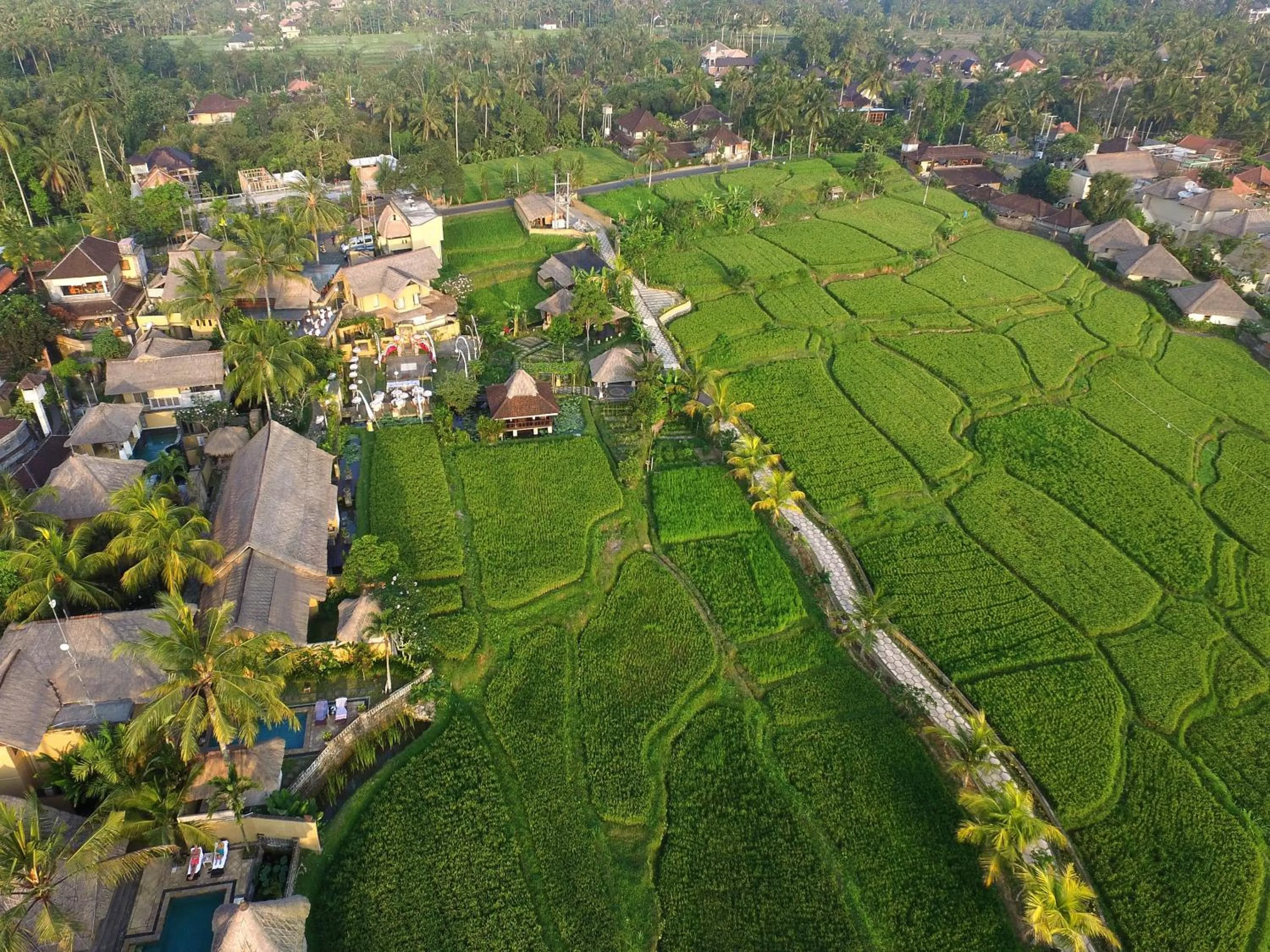 Nearby landmark in Wapa di Ume Ubud