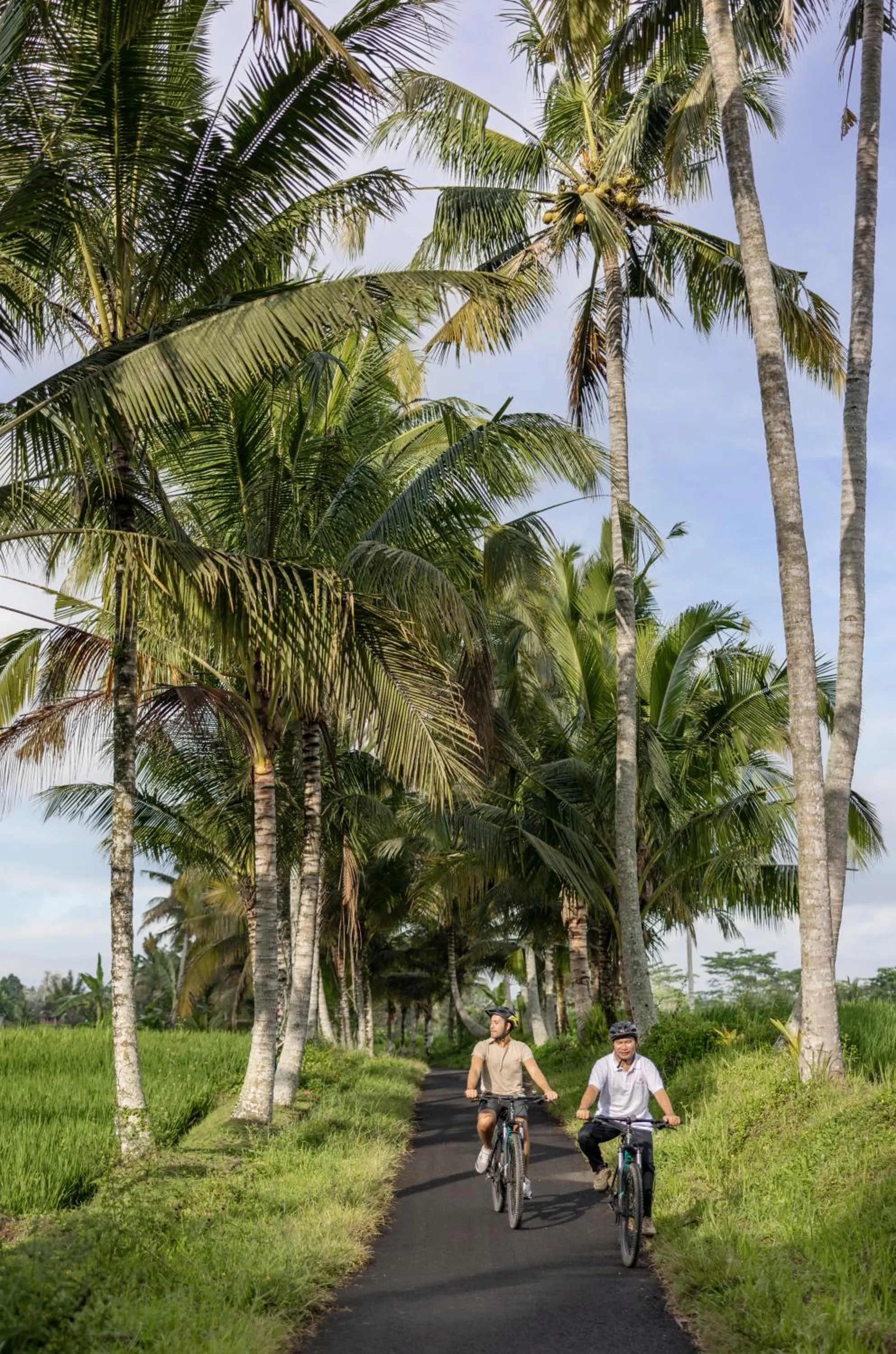 Natural landscape in Wapa di Ume Ubud
