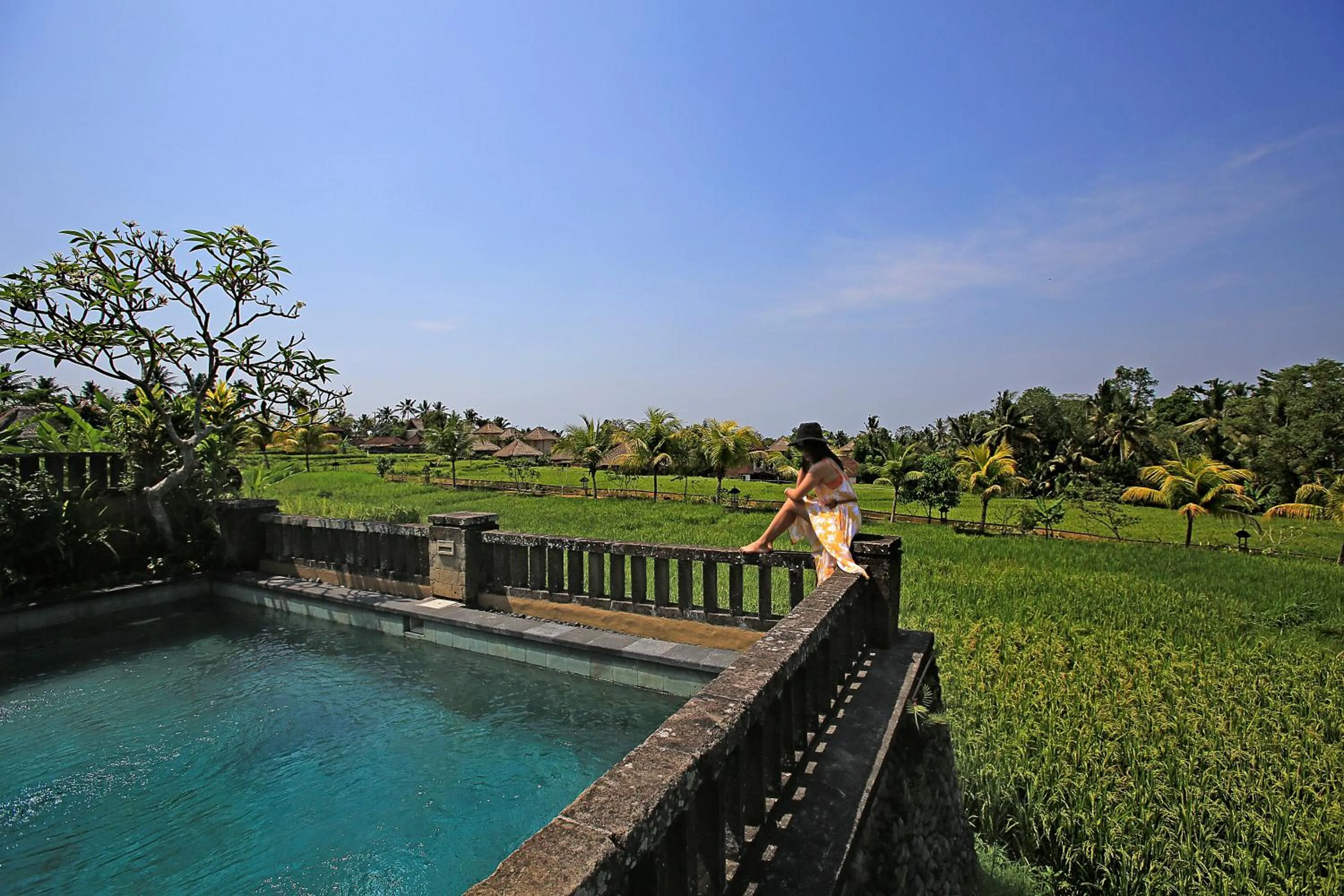 Pool view in Wapa di Ume Ubud