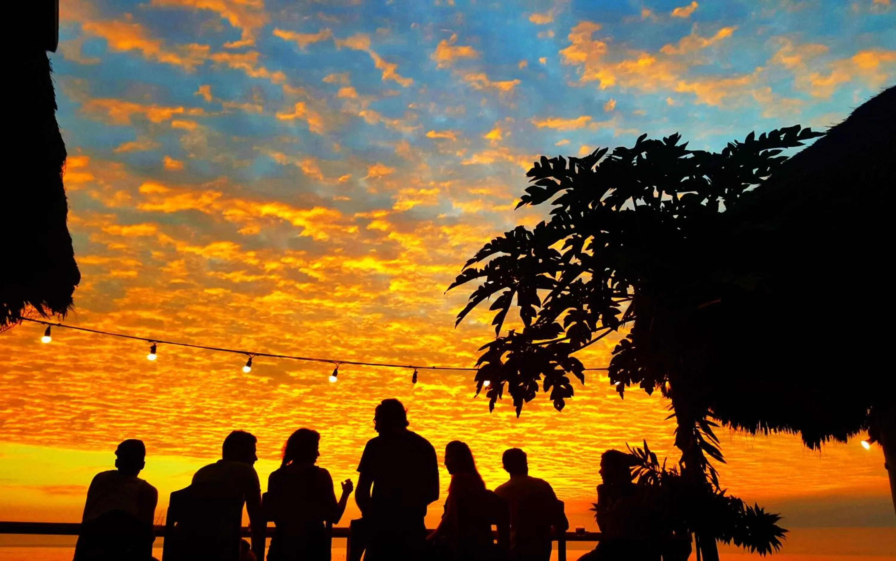 Lounge or bar in Vitton Resort