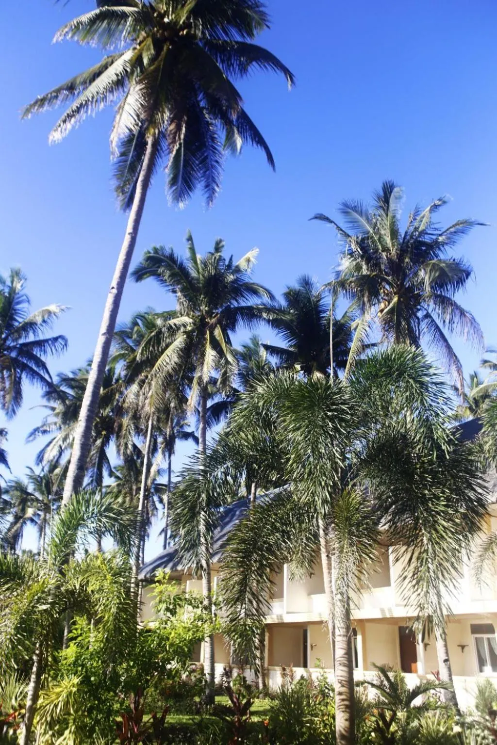 Other in Vitton Resort