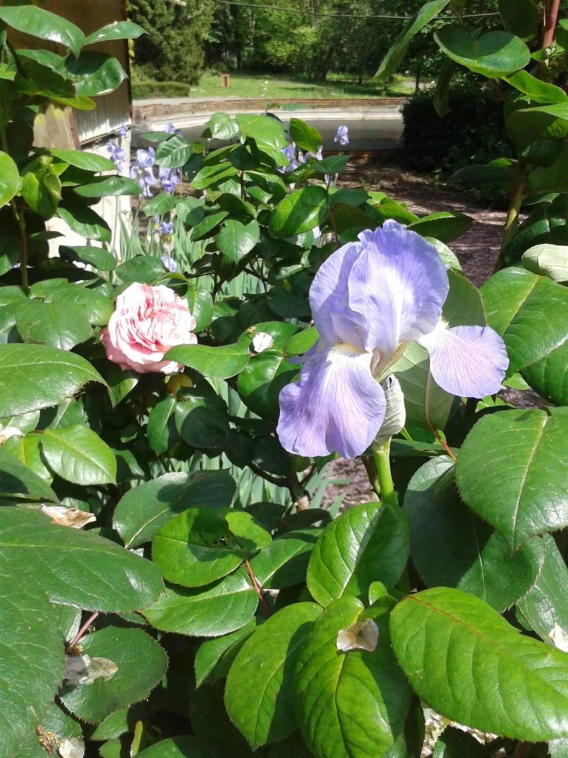 Garden in Château des Bretonnières sur vie - Maison d'hôtes et gîte 4 personnes
