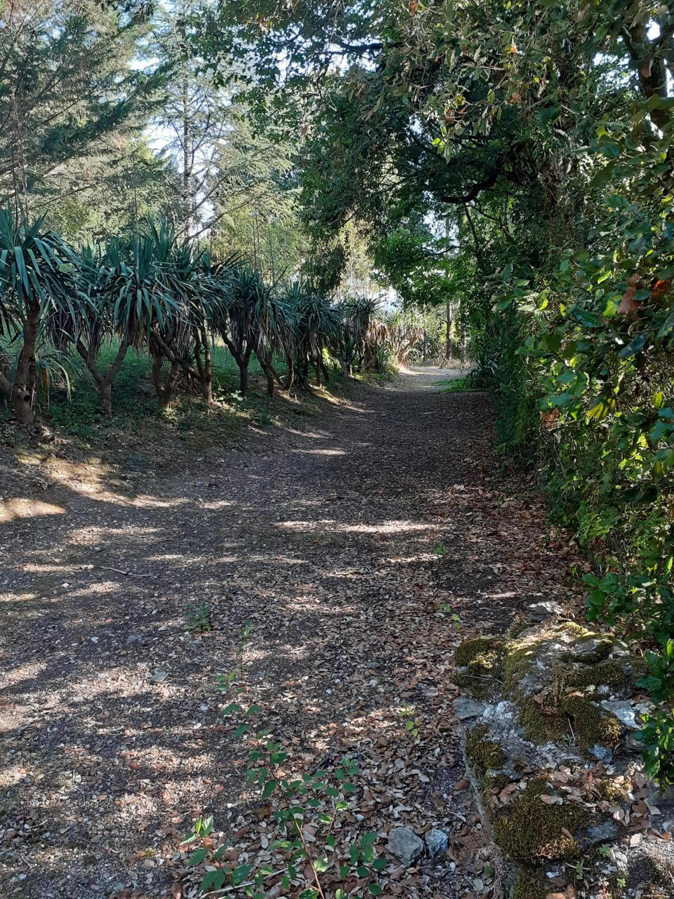Garden in Château des Bretonnières sur vie - Maison d'hôtes et gîte 4 personnes