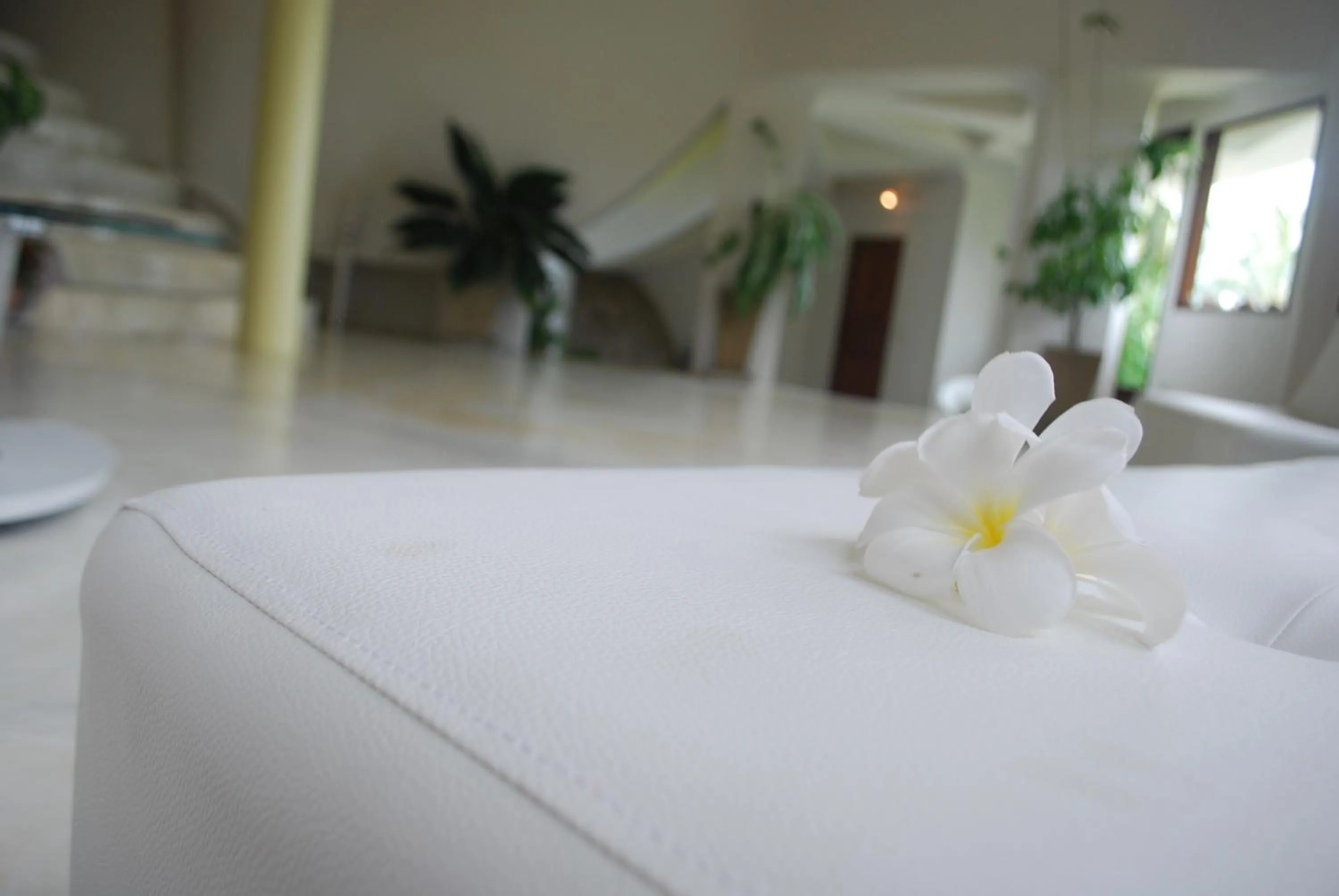 Other in Monkey Flower Villas