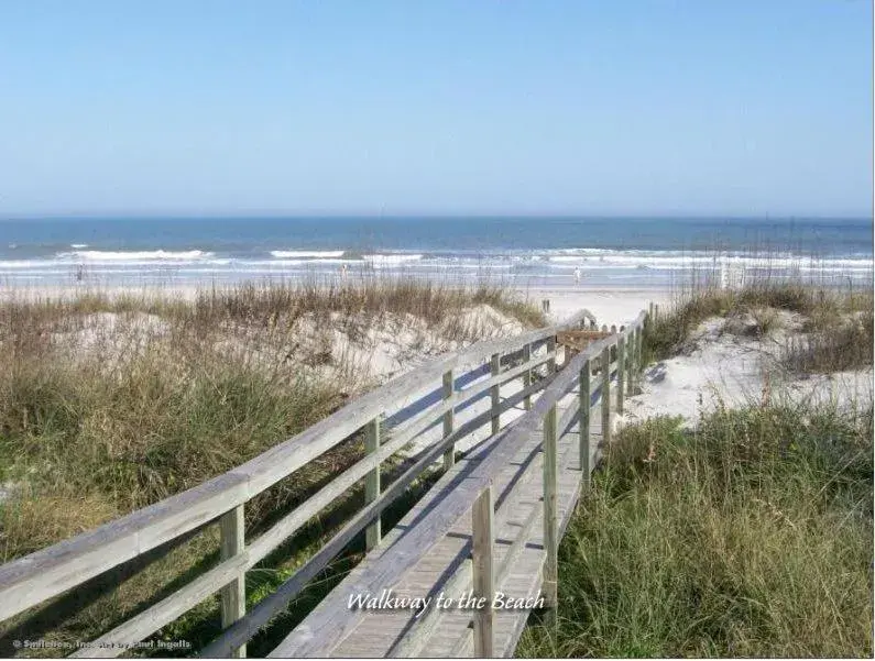 Sea Urchin 39 Sea Urchin 39