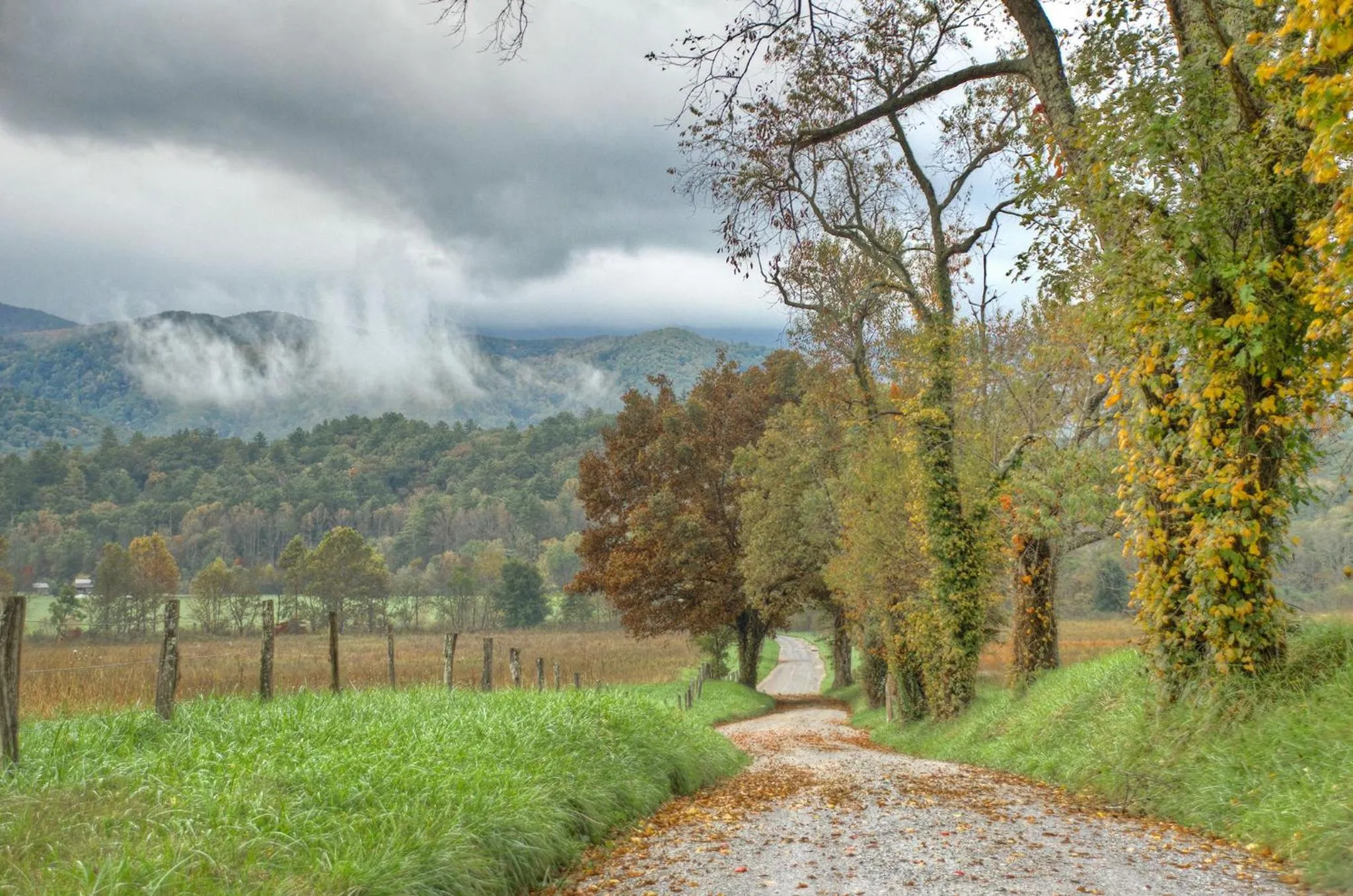 Property building in Woodland Escape
