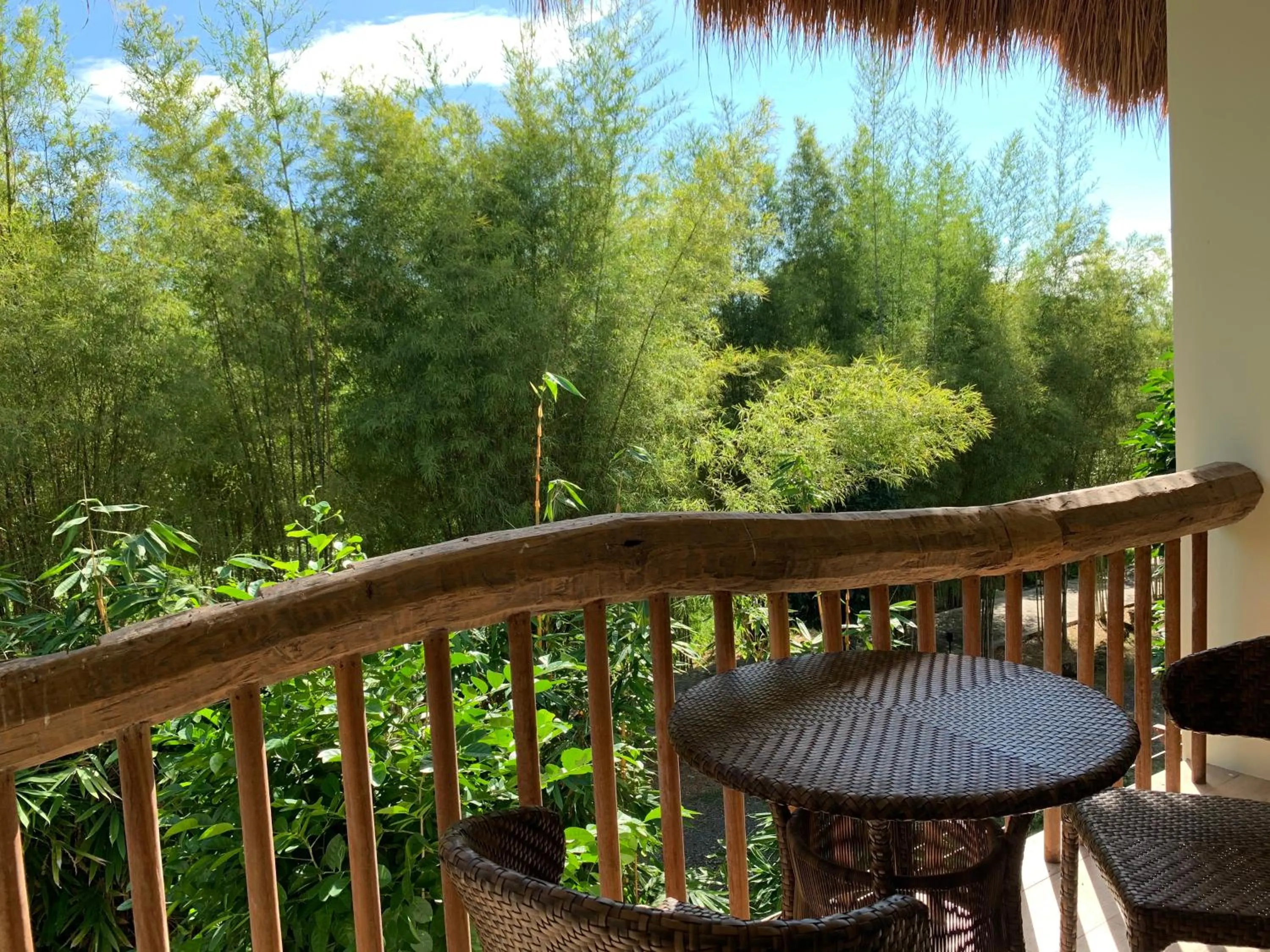 Garden view in Bluewater Panglao Beach Resort