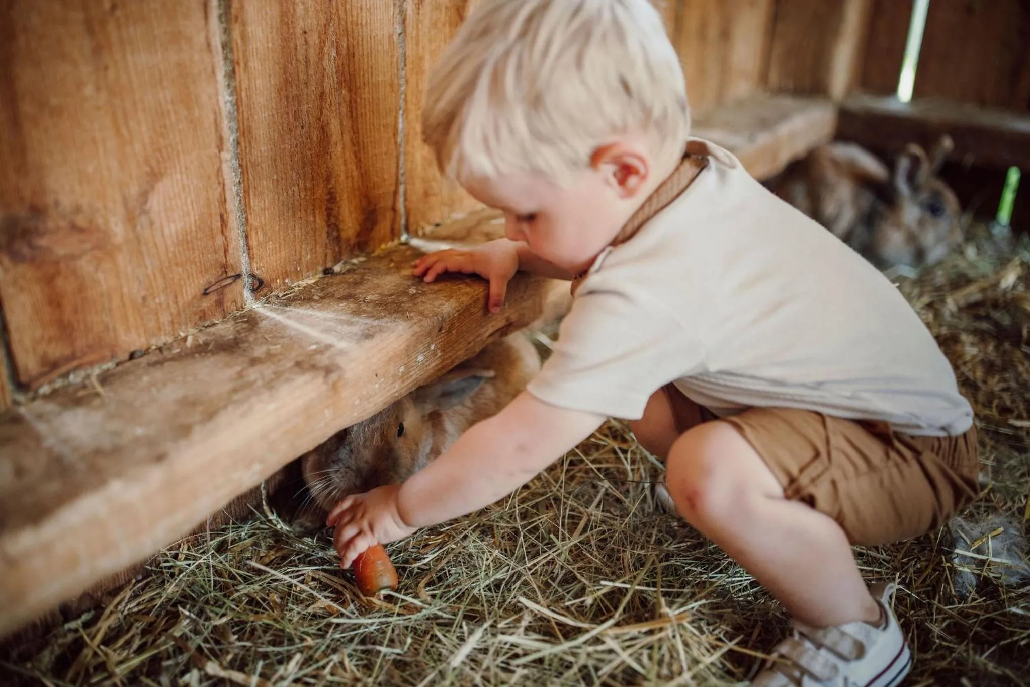Animals in Lerchs Landhotel