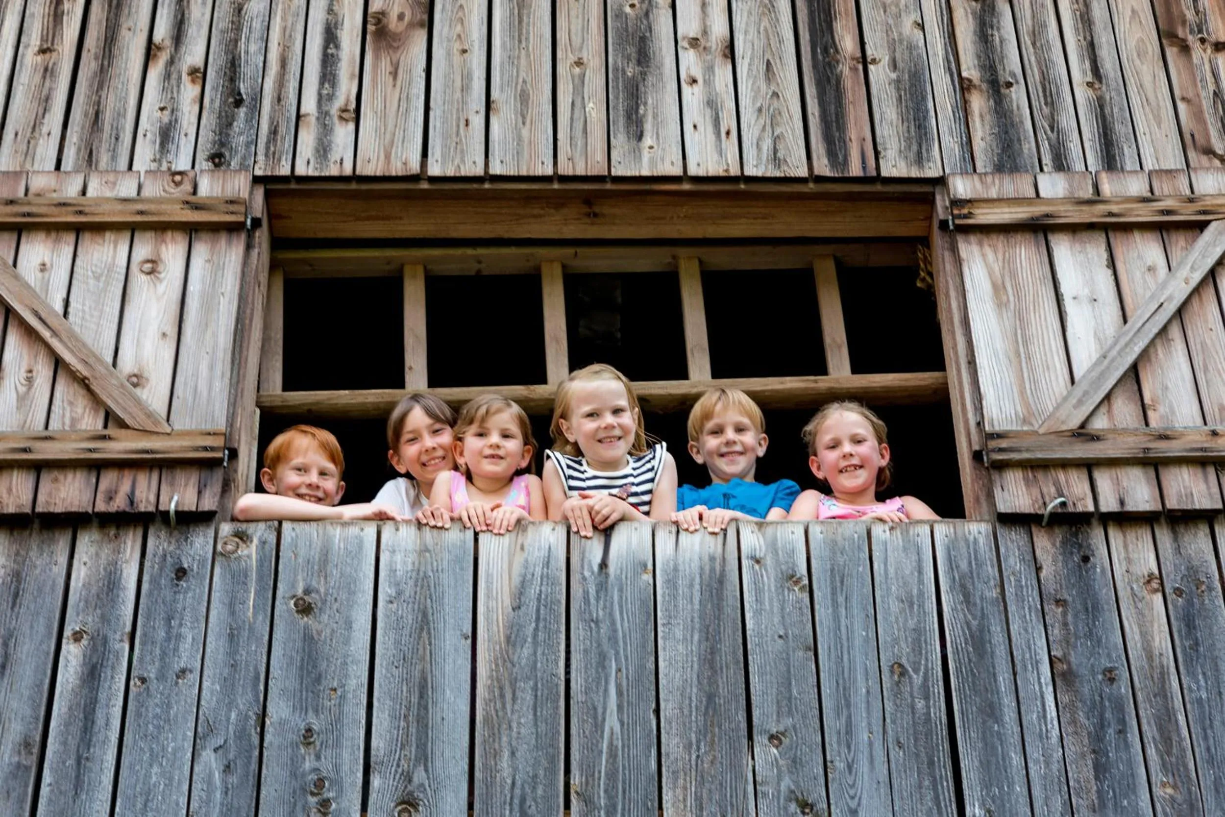 Animals in Lerchs Landhotel