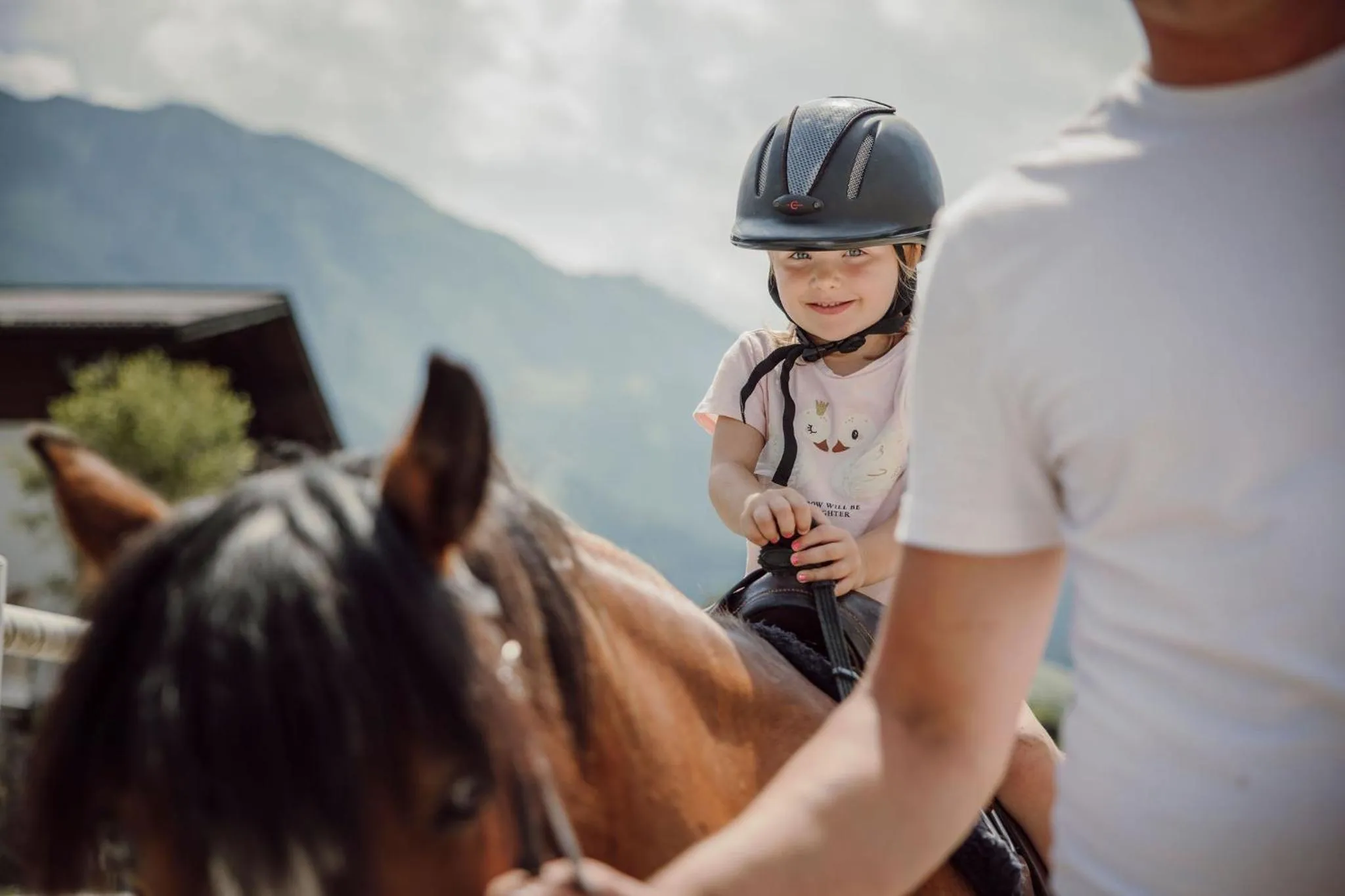 Animals in Lerchs Landhotel