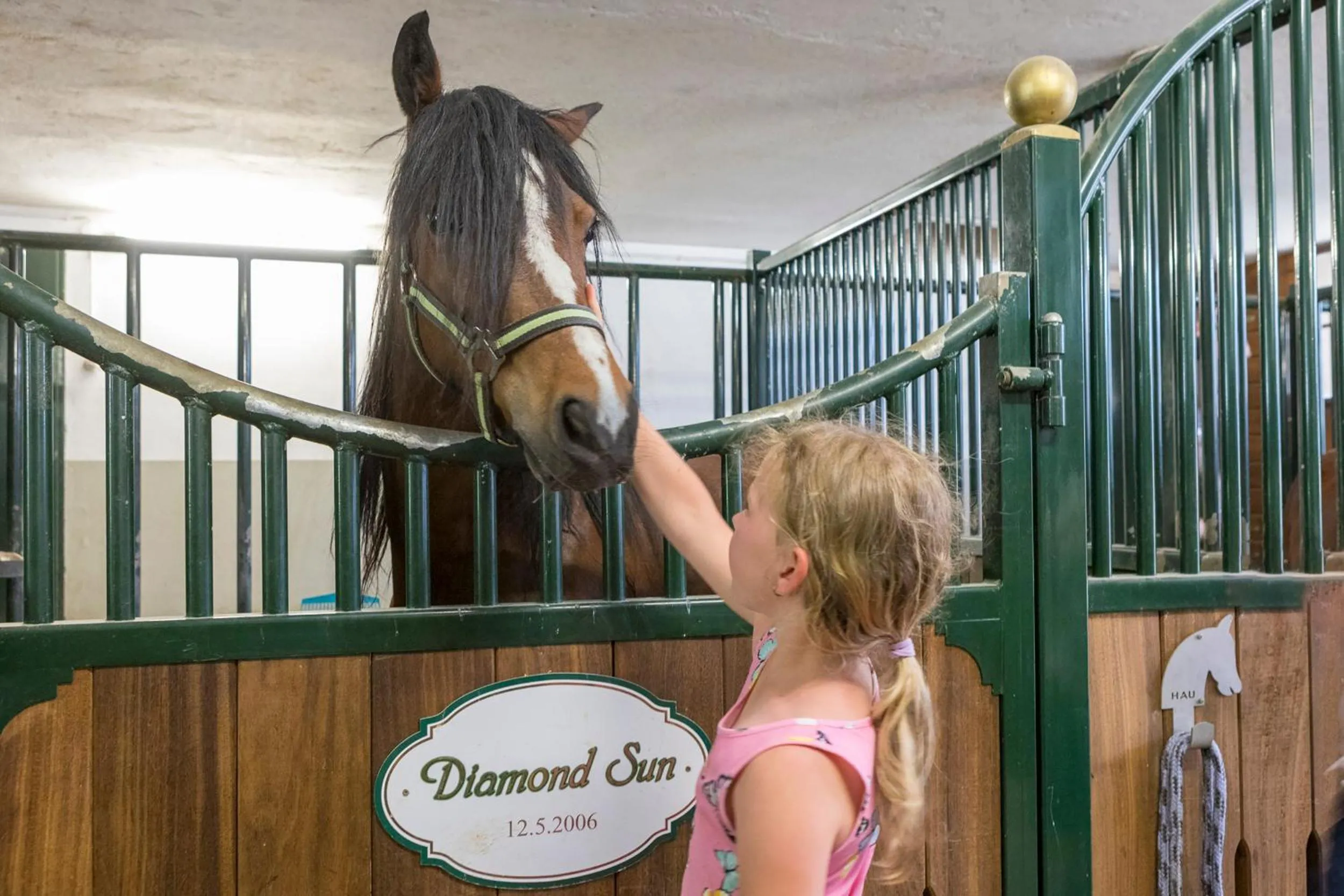 Animals in Lerchs Landhotel