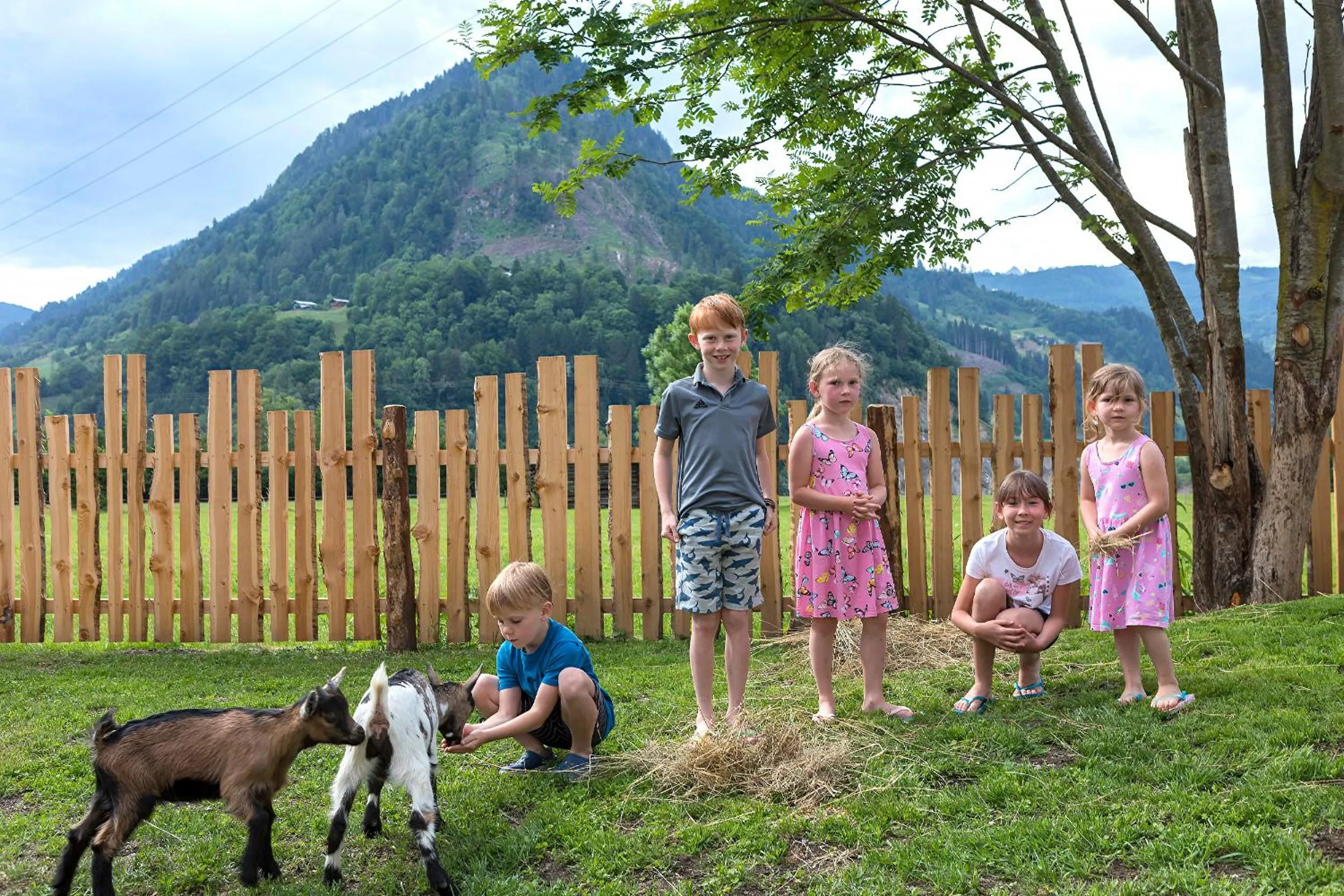 Animals in Lerchs Landhotel