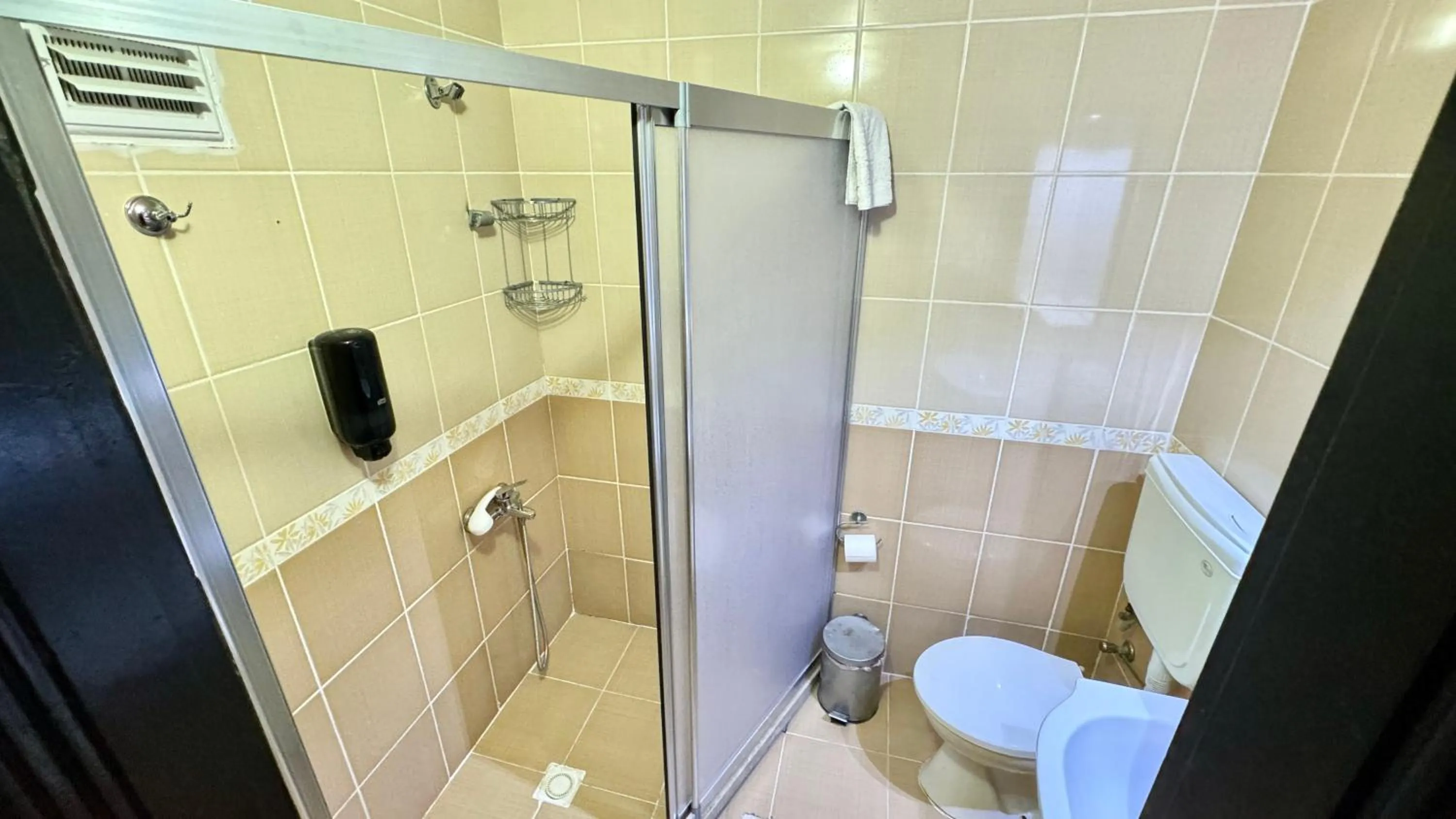 Shower in EPHESUS CENTRUM