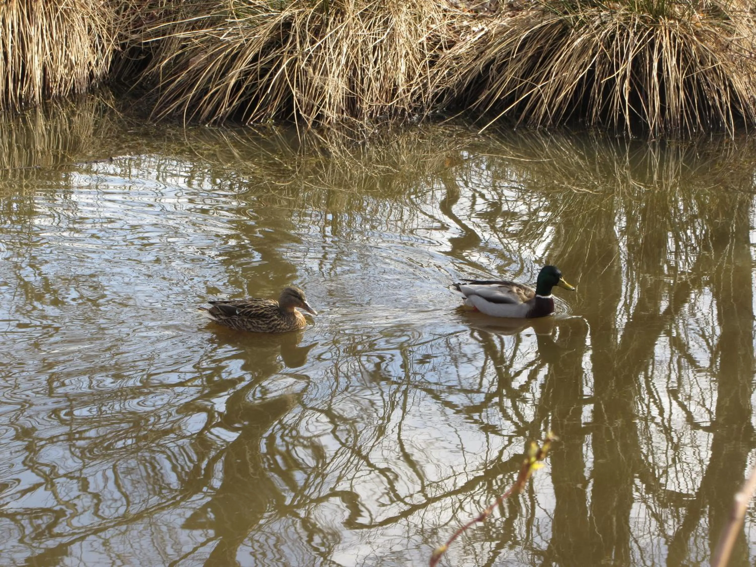 Day in Morag's Lodge