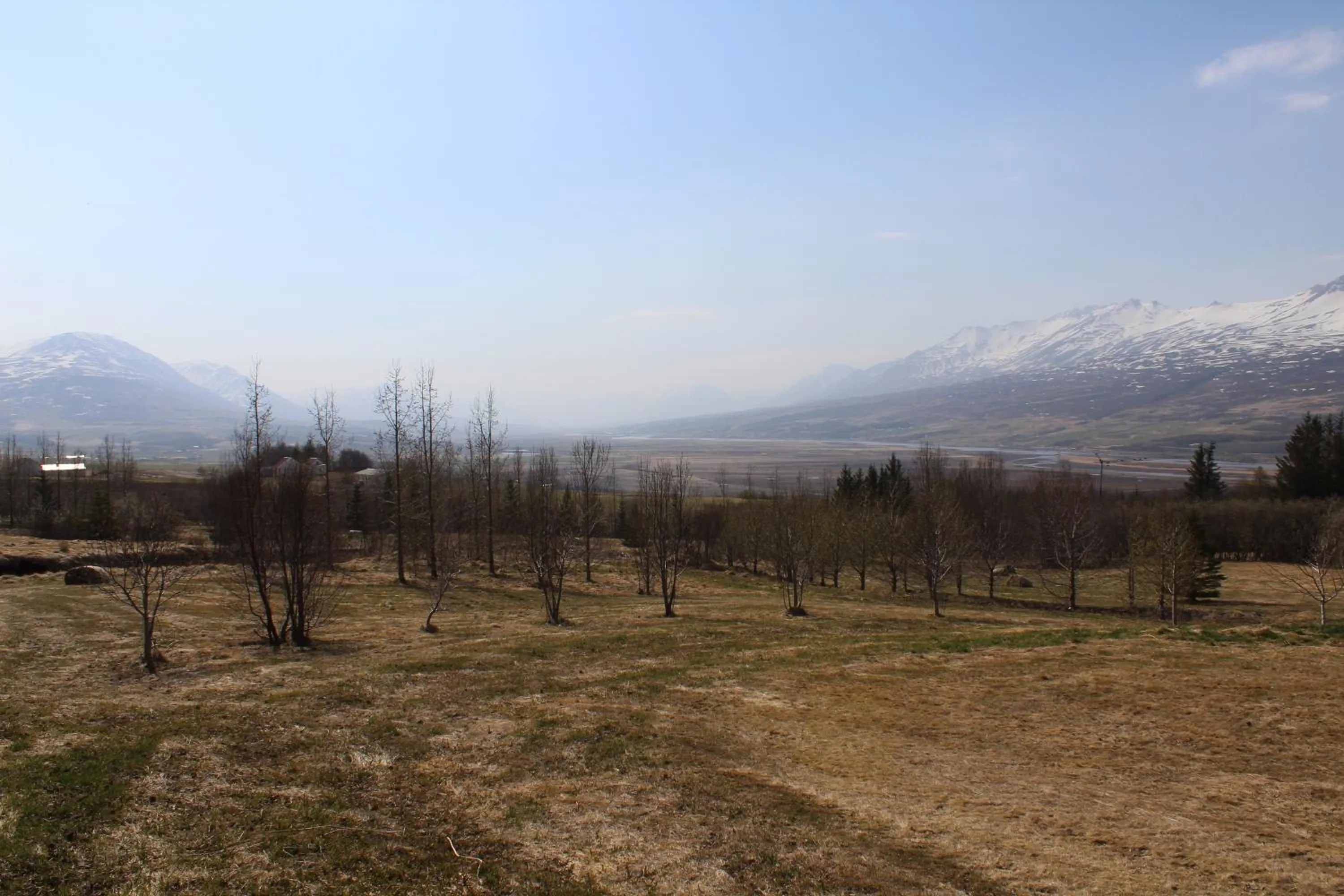 Spring in Hotel North