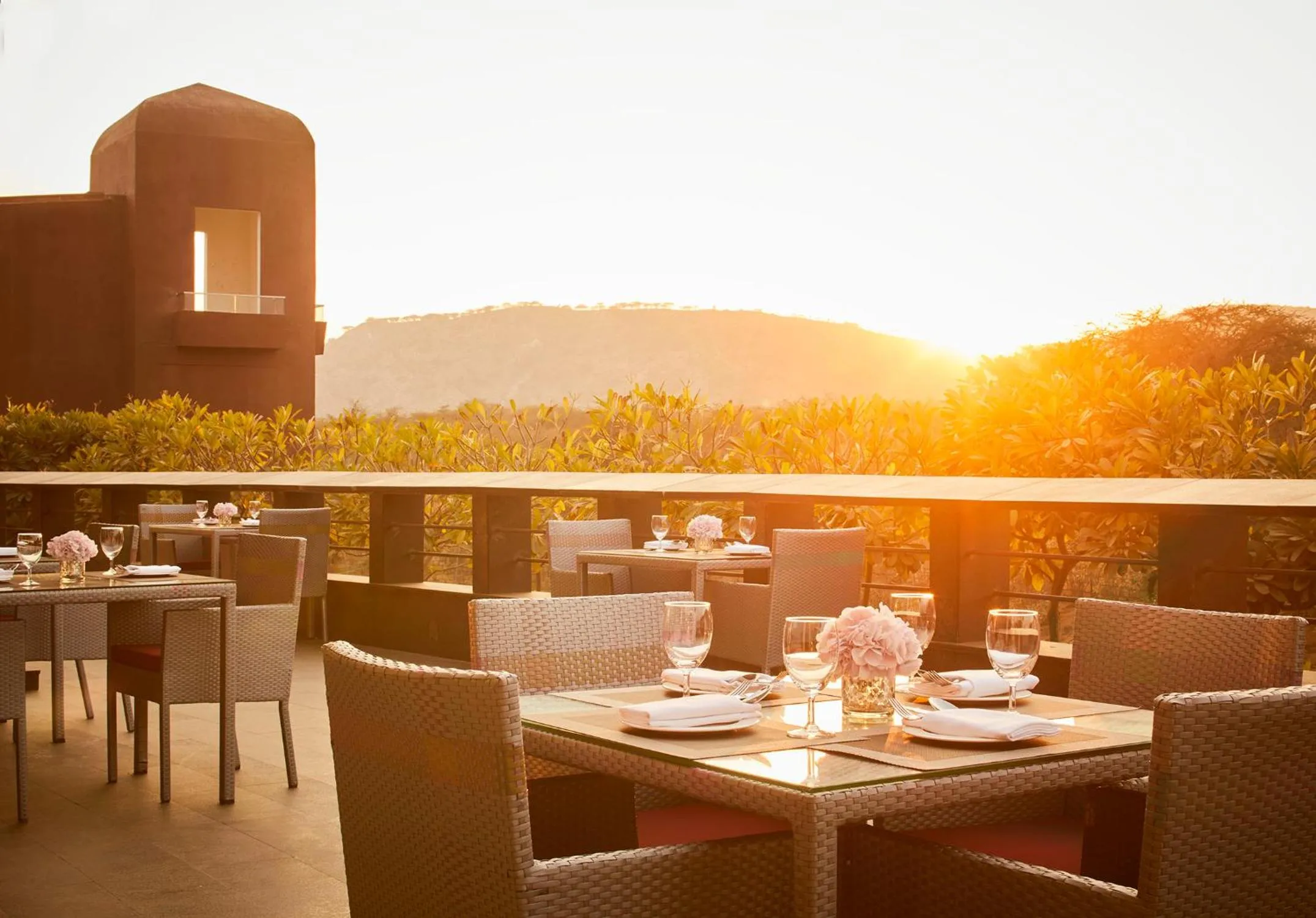 Restaurant/places to eat in Taj Devi Ratn Resort & Spa, Jaipur