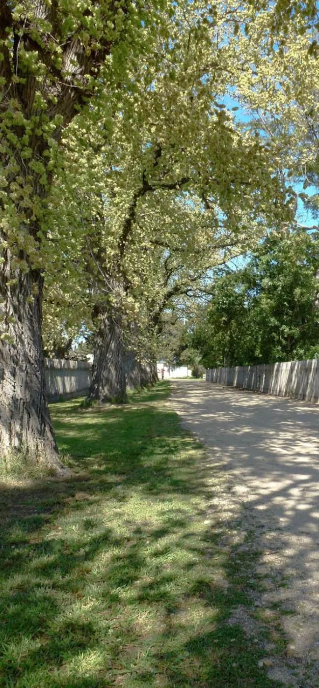 Bon Accord Boutique Accommodation