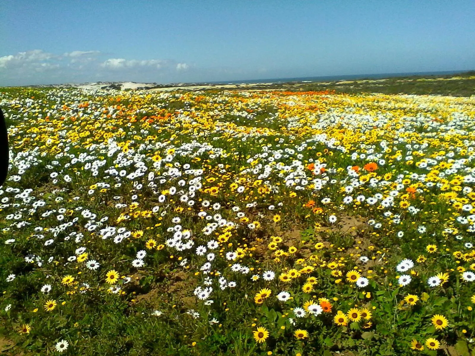 Natural landscape in Paters Haven Self-catering and B&B