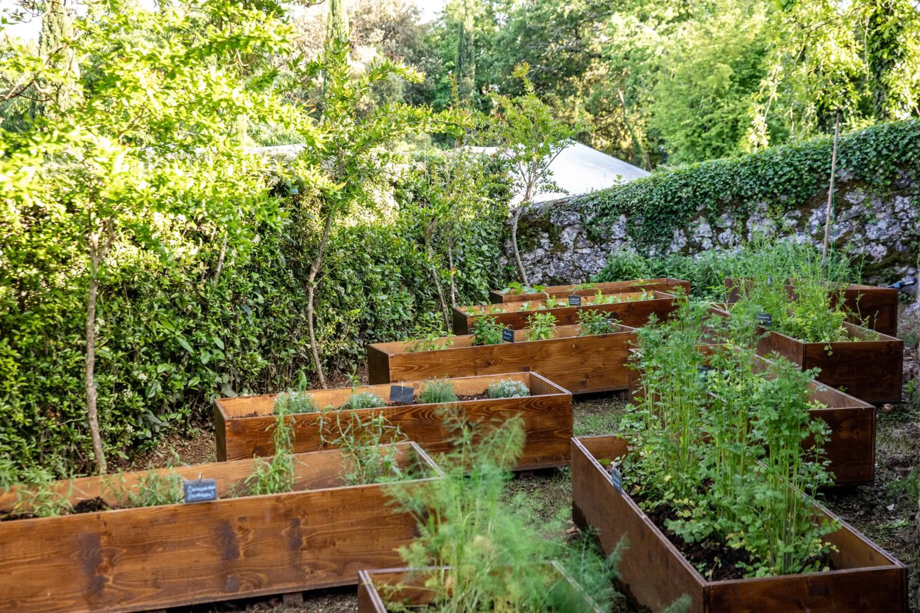 Garden in Relais La Costa Historical Residence