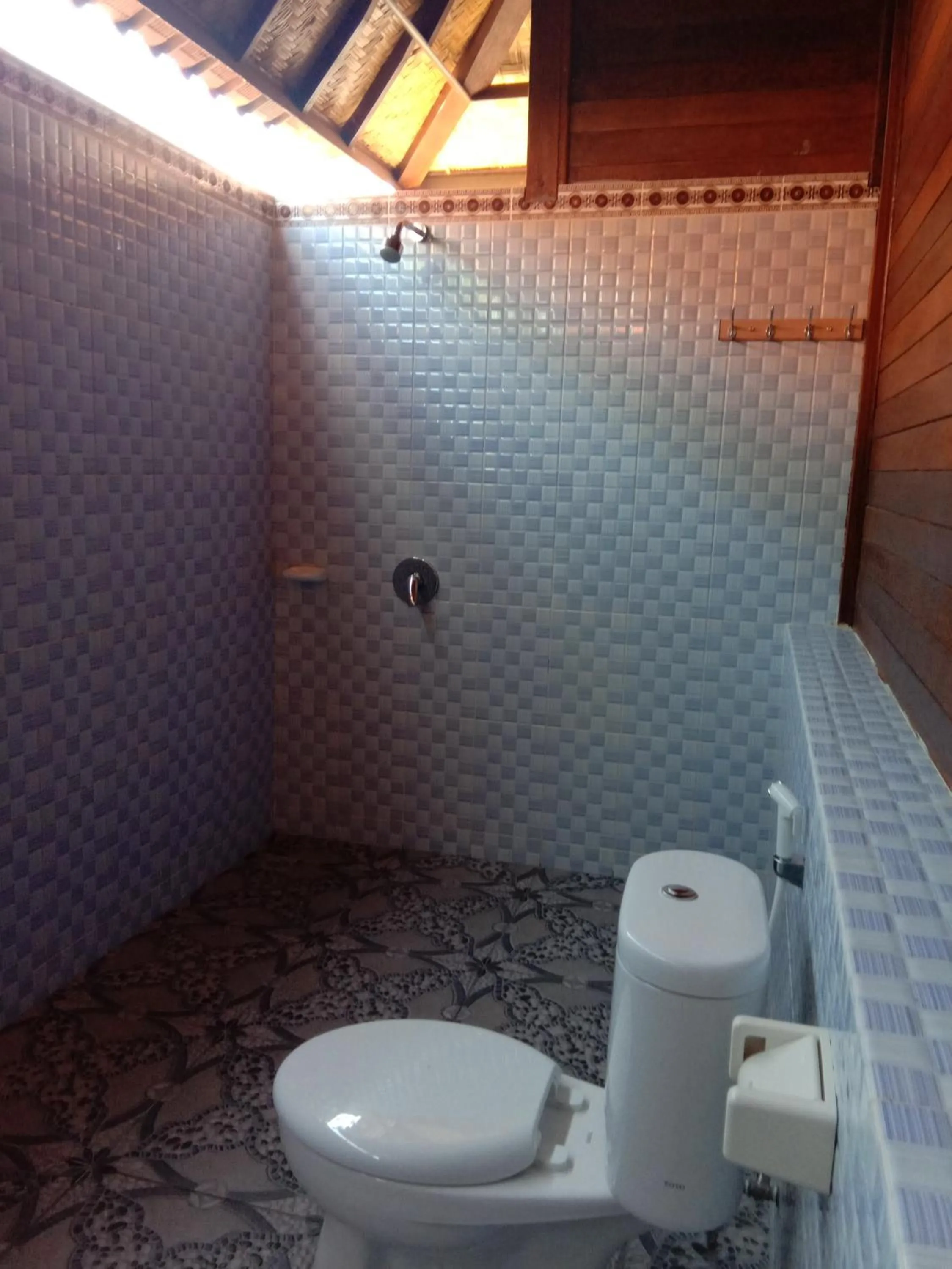 Shower in Svaha Nusa Guest House