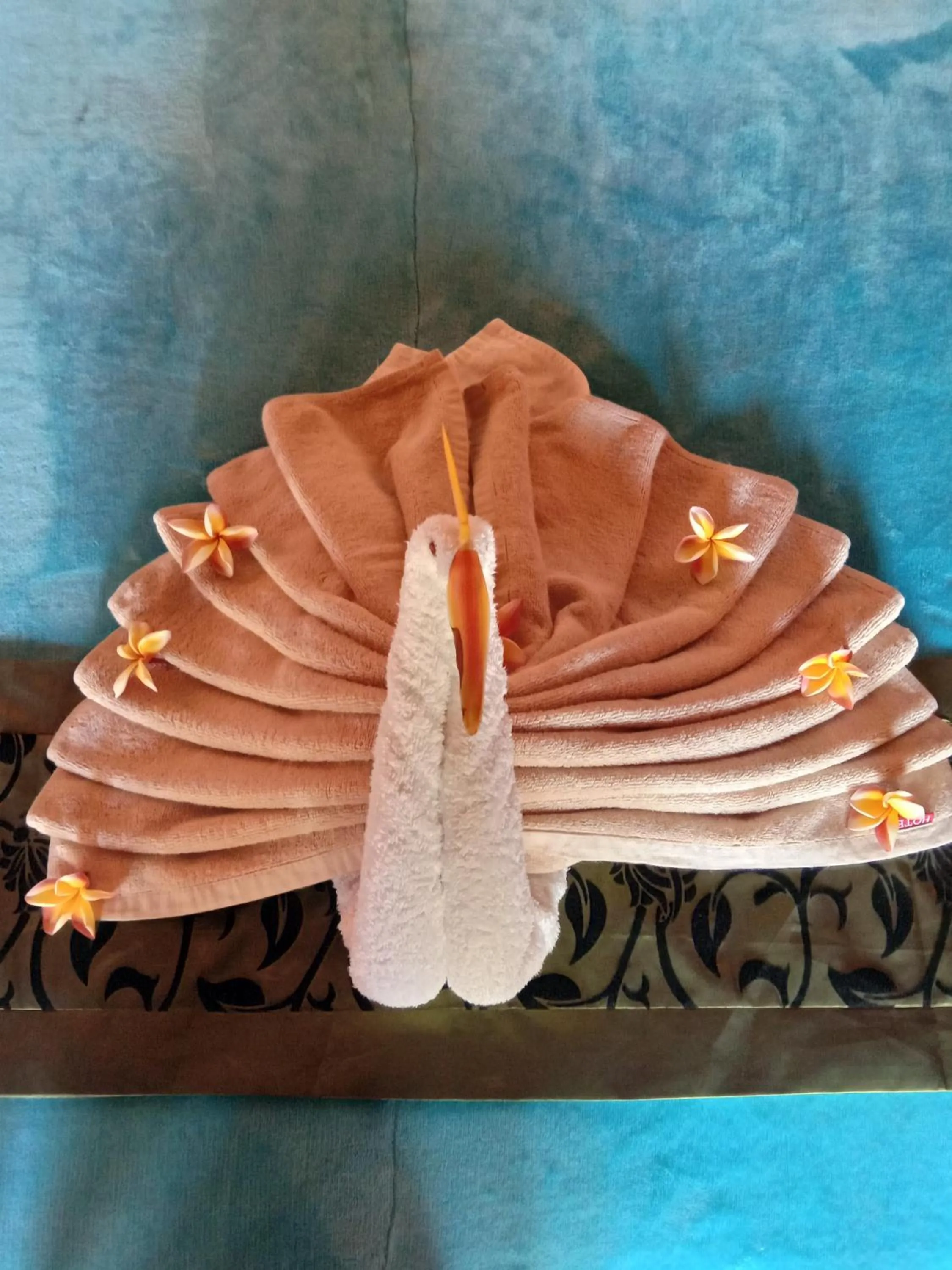 Area and facilities in Svaha Nusa Guest House