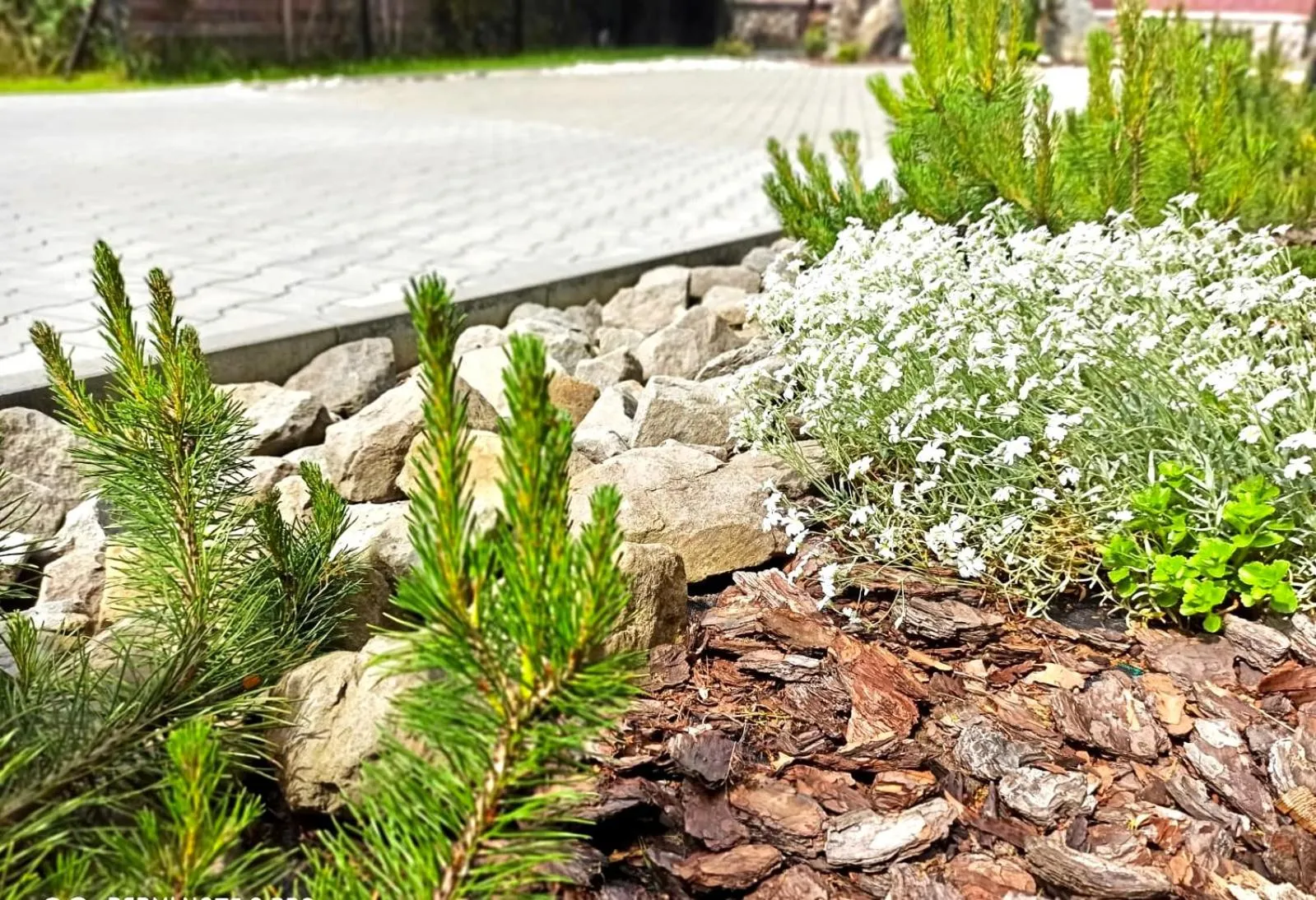Garden view in Żelazne Wrota